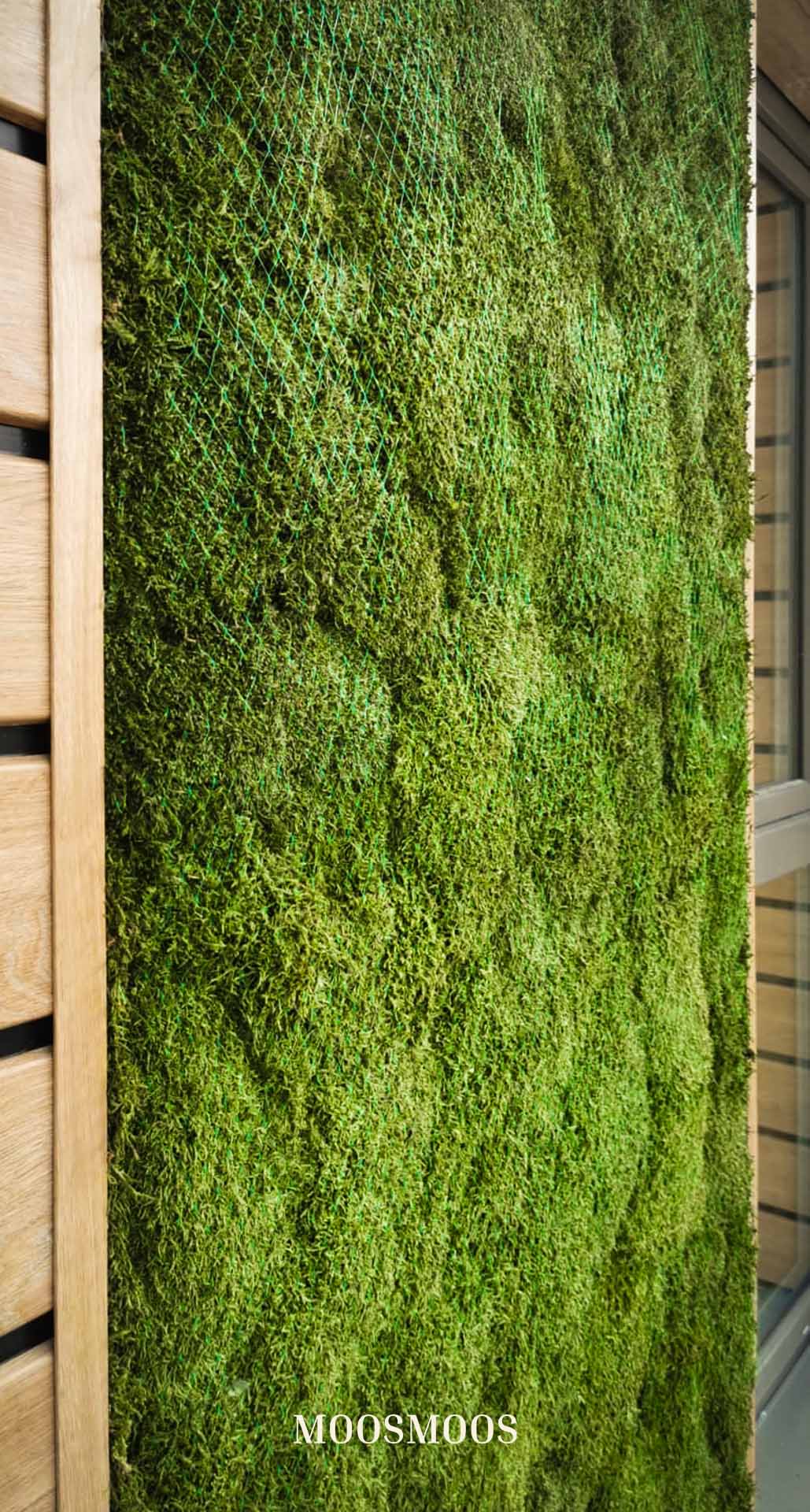 Vivienda particular — Imagen 3