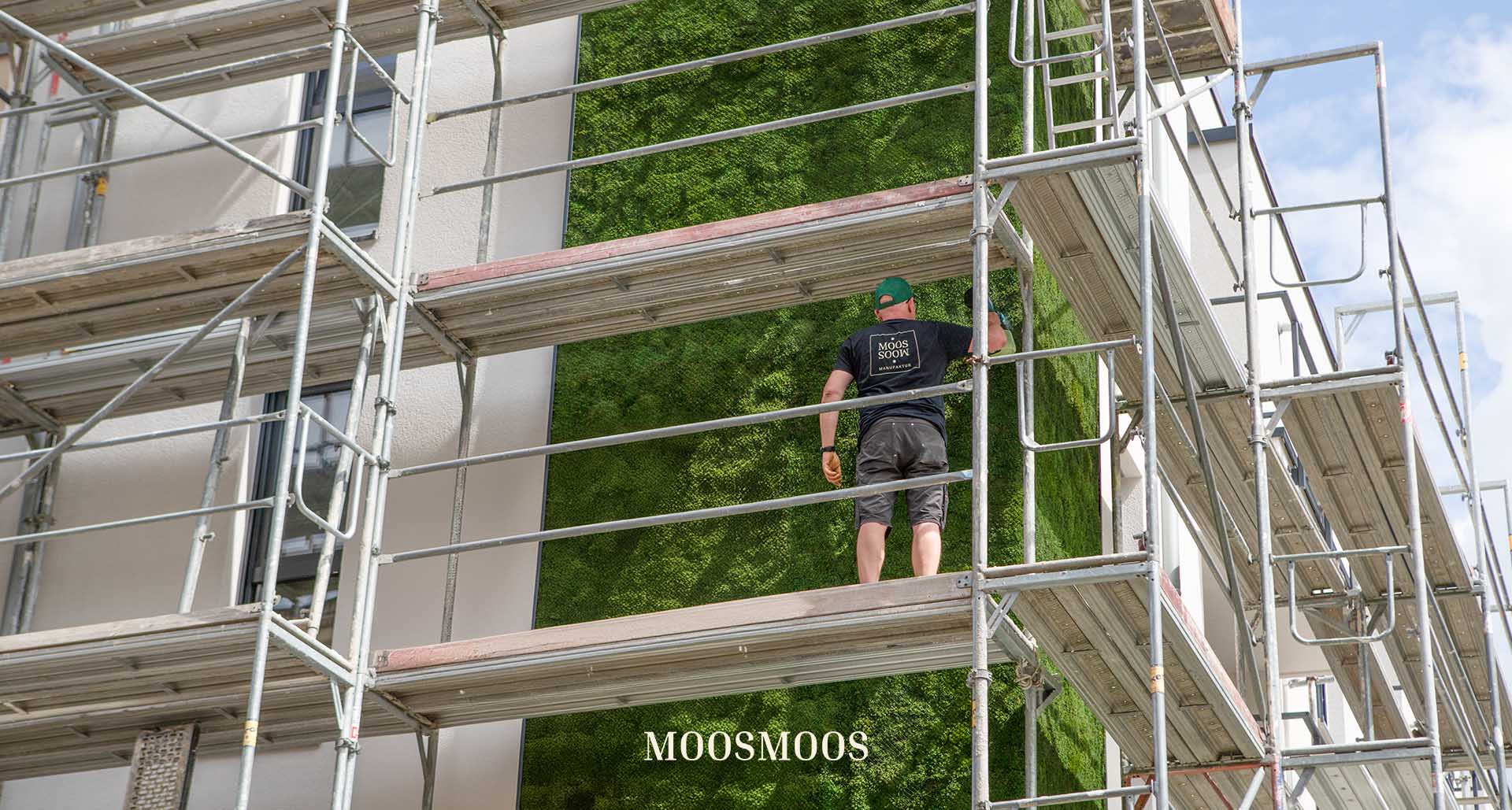 Objeto de referencia Reuter Bau Euskirchen — fachada de musgo Greenovation visible al público