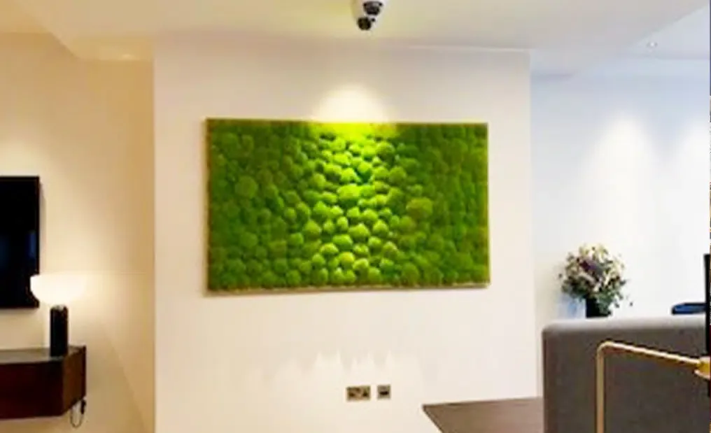 Fotografía del proyecto — Amanda Lovett · Azure Hotel London