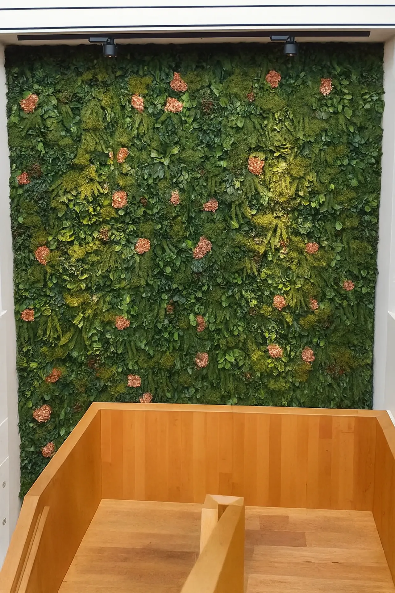 Muro floral con flores preservadas — Decoración vegetal para paredes de MOOSMOOS