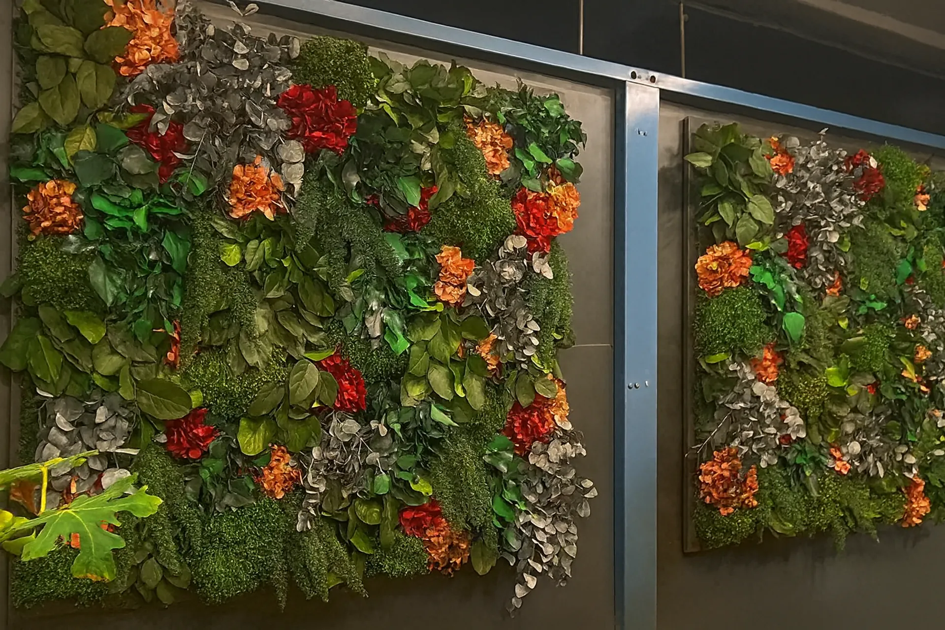 Pared floral con musgo islandés — Vegetación mural de MOOSMOOS