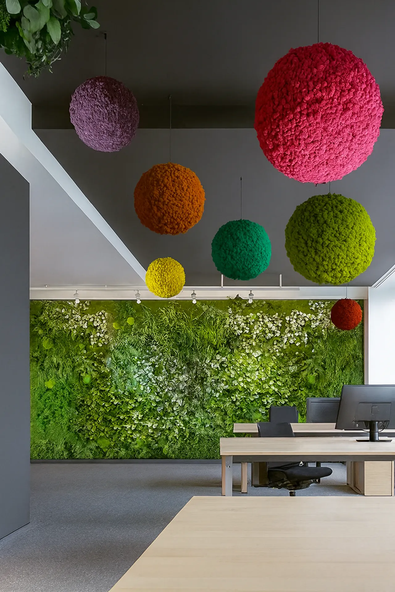 Recepción de oficina moderna «Hanging Garden» — Vegetación en el techo de MOOSMOOS