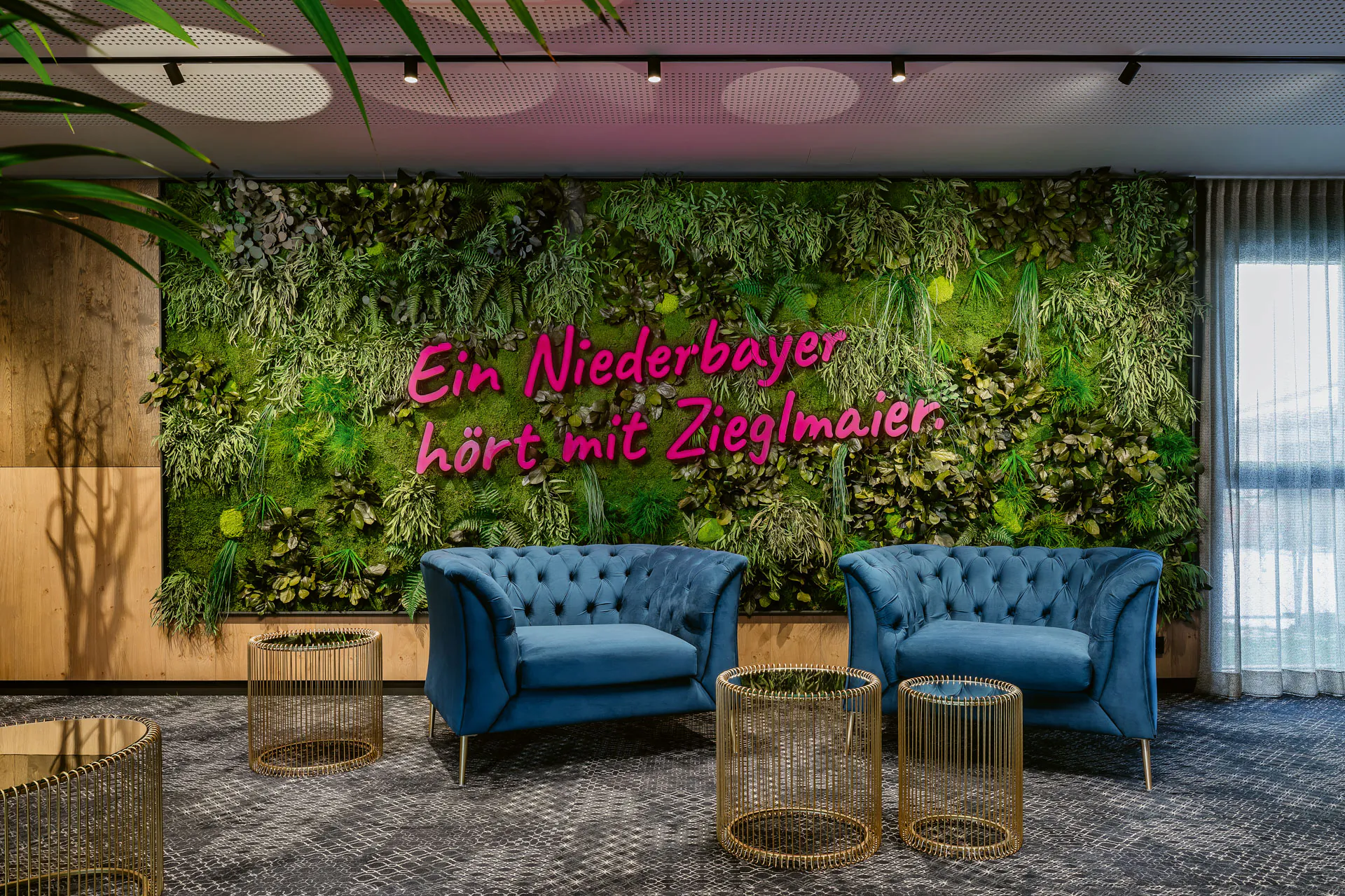 Logotipo de Moos, recepción de Niederbeyer, sala de exposición — Logotipo de Moos de MOOSMOOS