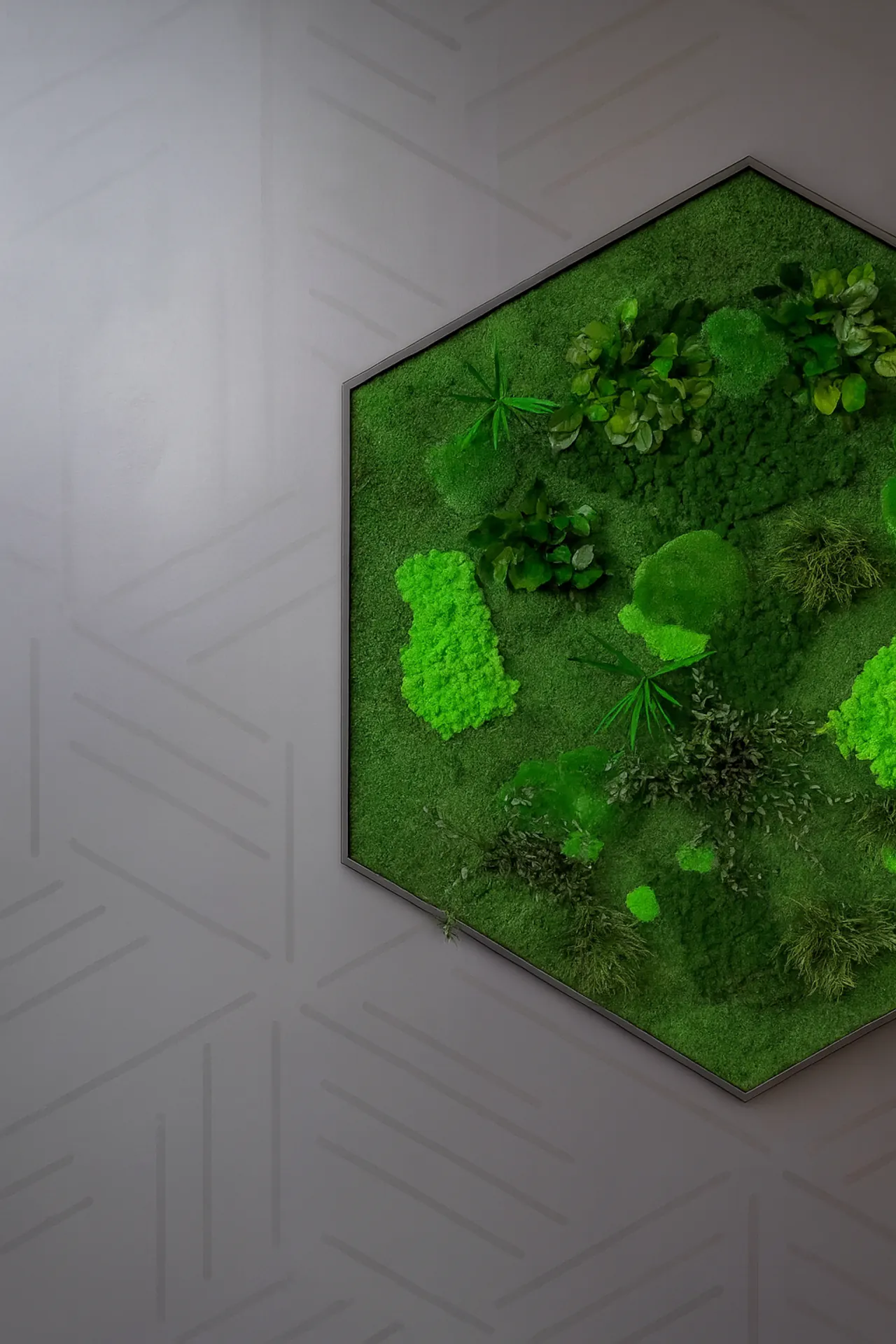 Cuadro de musgo «Hexagon»: decoración moderna para la pared — Cuadros de musgo de MOOSMOOS