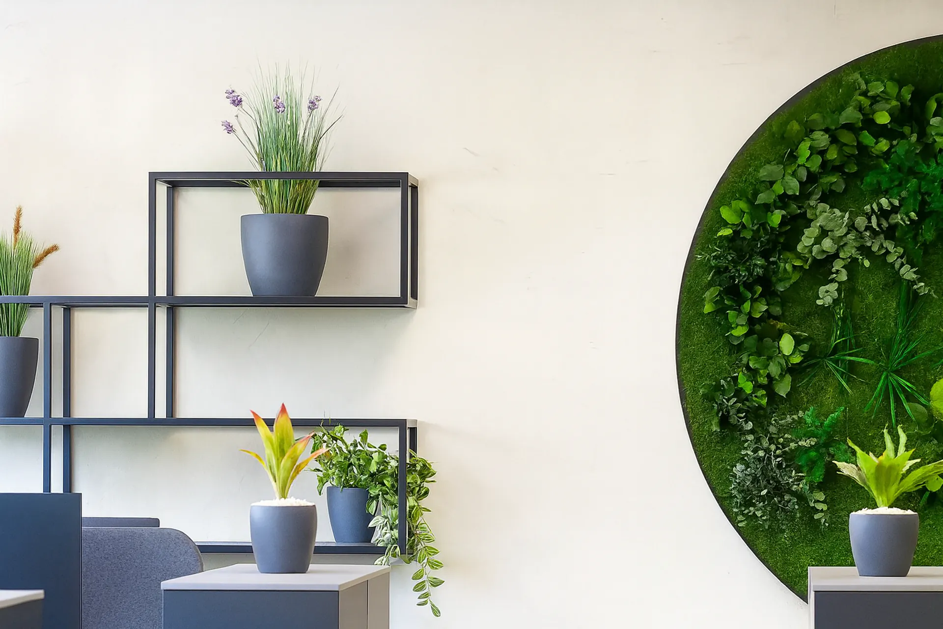 Cuadro de musgo «Modern Büro Grünewand» — Cuadros de musgo de MOOSMOOS