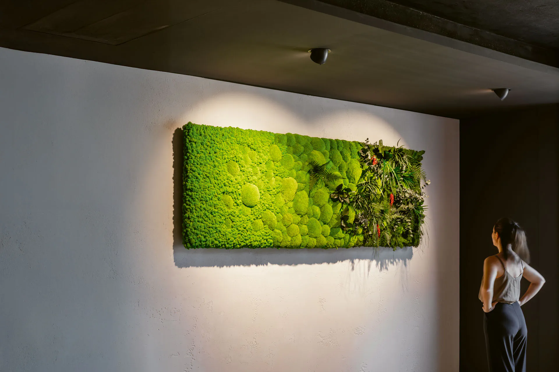 Cuadros de musgo auténtico: colección artesanal de la manufactura MOOSMOOS en una galería