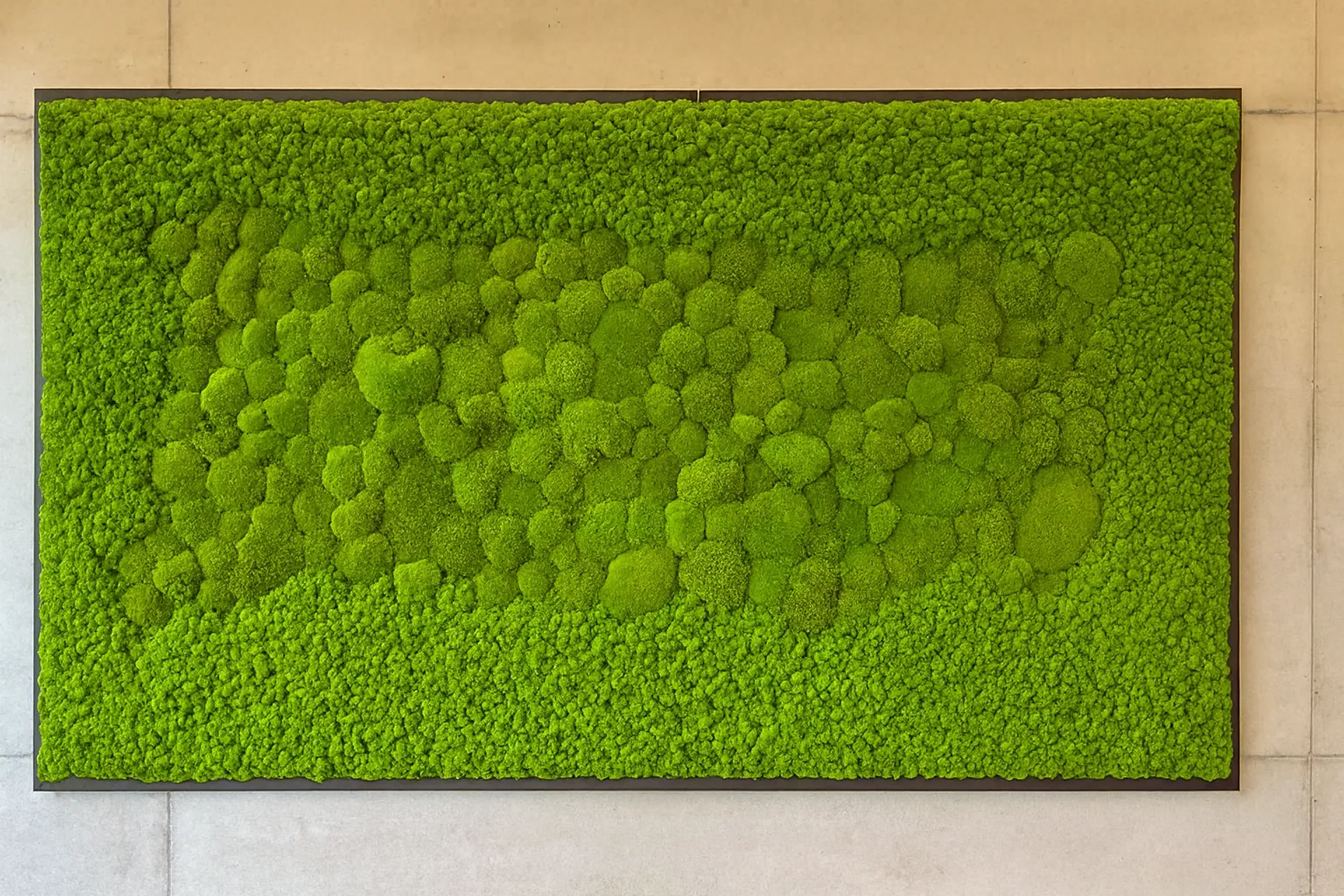 Cuadro de musgo: instalación mural moderna para oficina — Cuadros de musgo de MOOSMOOS