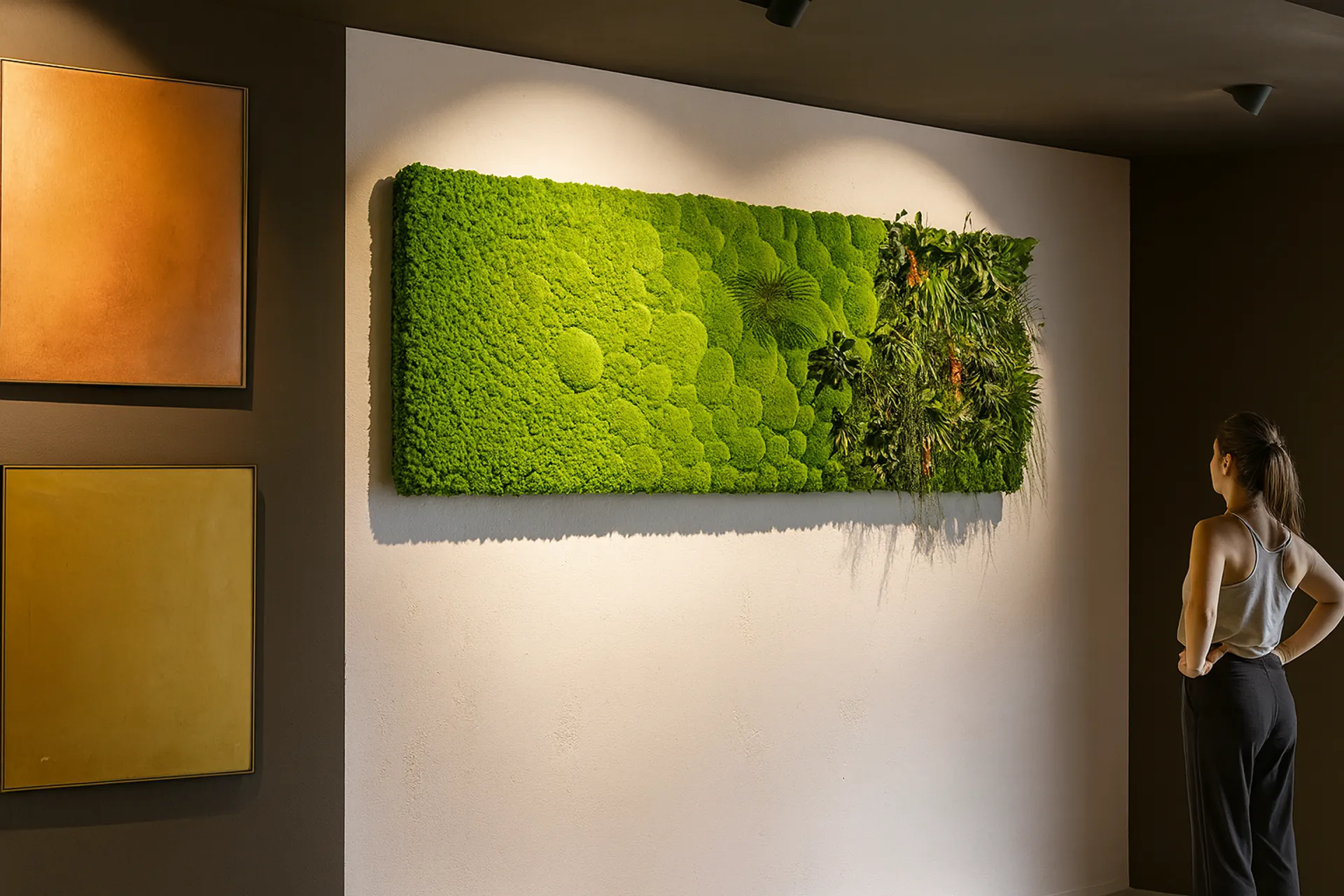 Exposición de cuadros de musgo: decoración de paredes moderna — Cuadros de musgo de MOOSMOOS