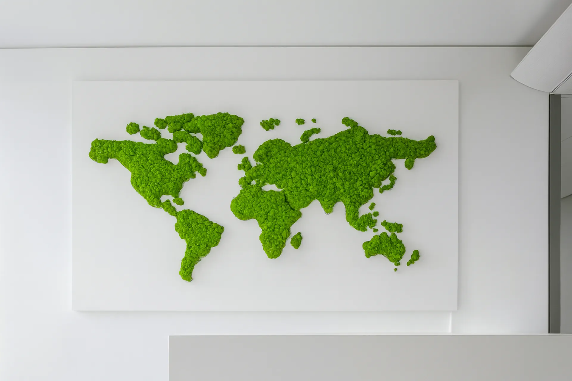 Mapa del mundo de musgo — Cuadros de musgo de MOOSMOOS