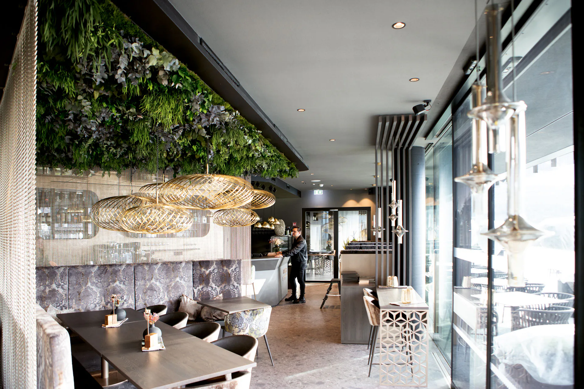 Musgo sobre la cabeza — Vegetación en el techo · Restaurante
