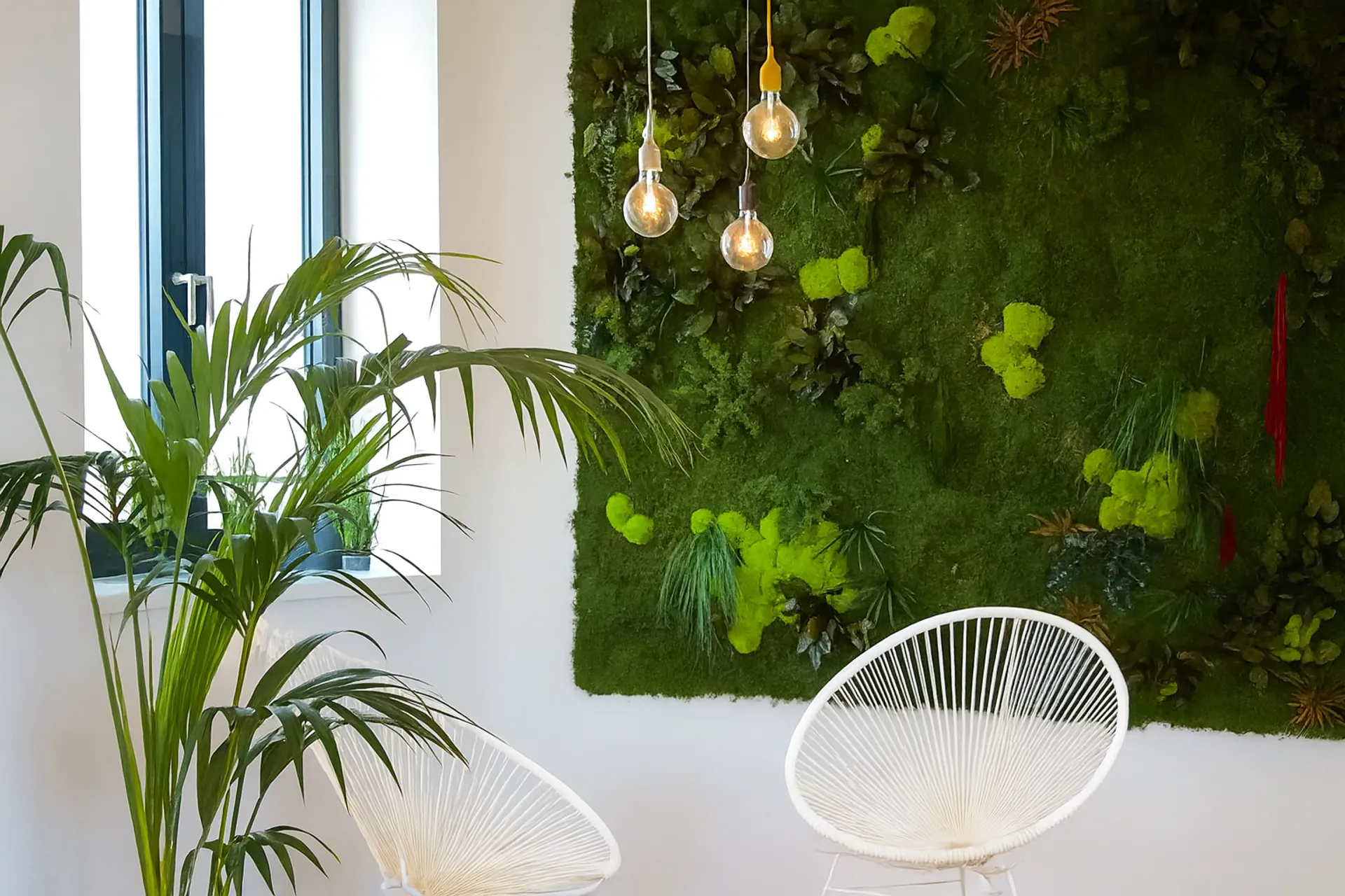 Hanging Garden Oficina Moderna — Jardín colgante de MOOSMOOS
