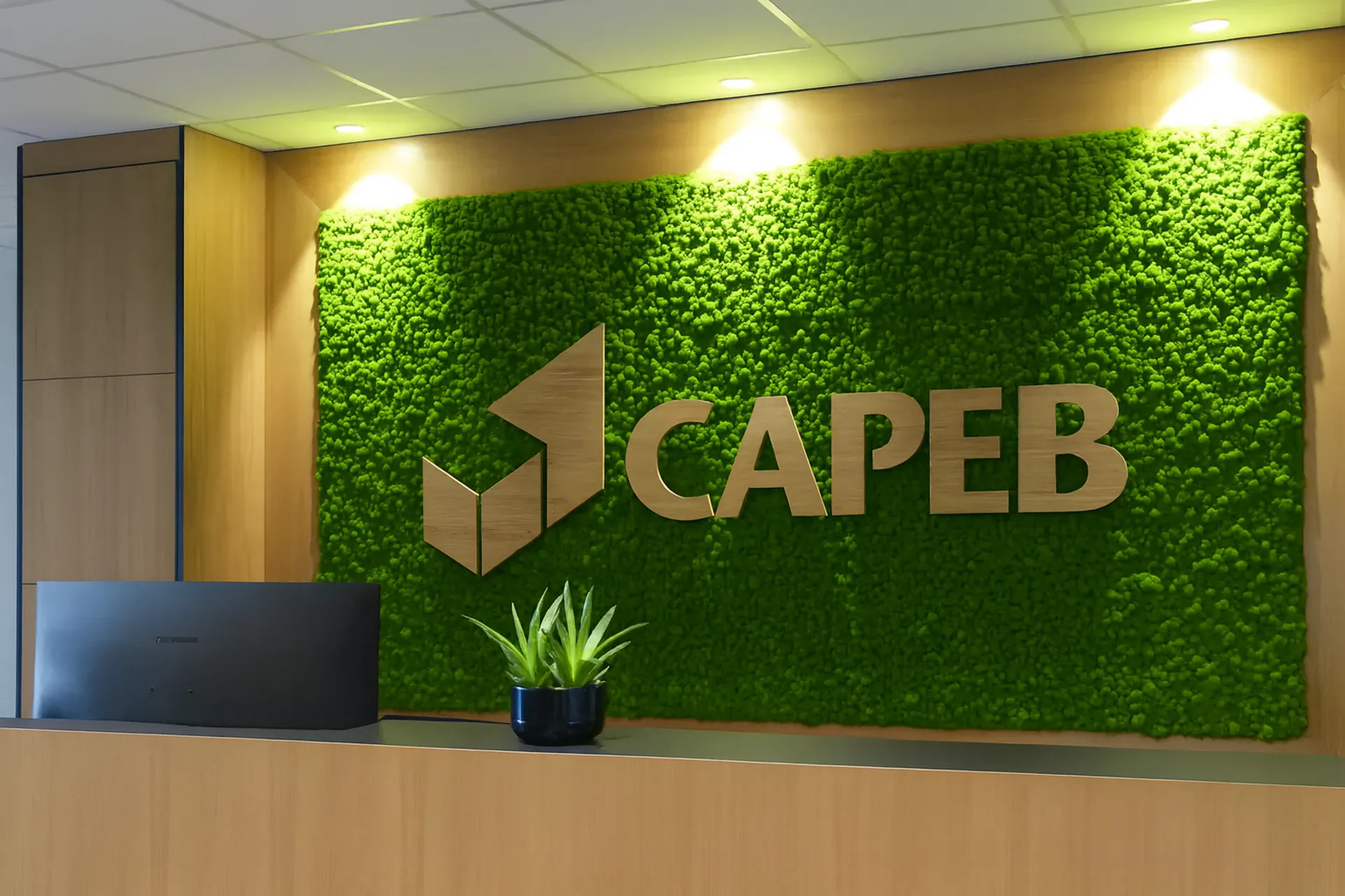 Logotipo de Moos Capeb: logotipo corporativo en la recepción — Logotipo de Moos de MOOSMOOS