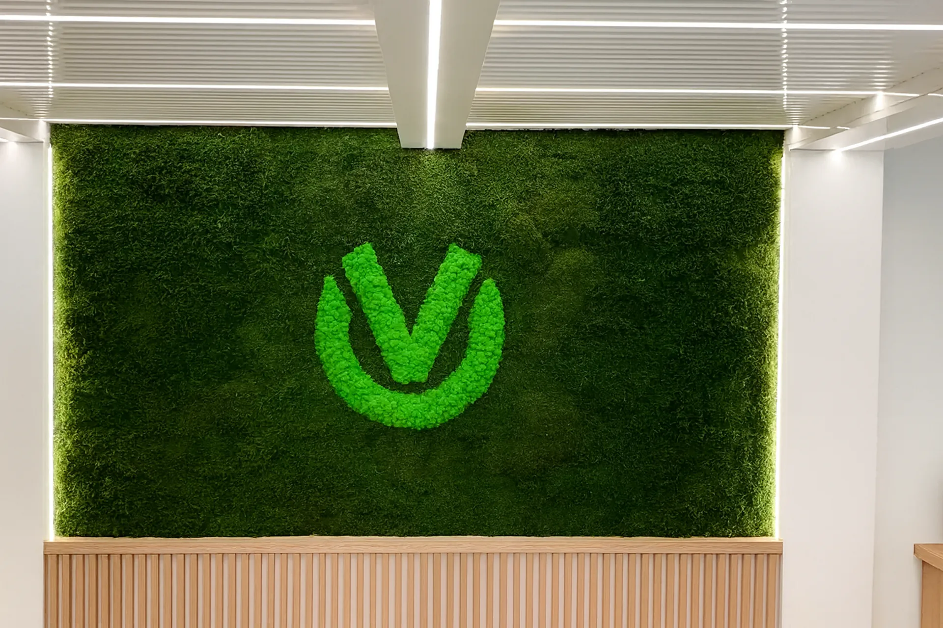 Logotipo de Moos. Sala de exposición de logotipos de Moos — Logotipo de Moos de MOOSMOOS