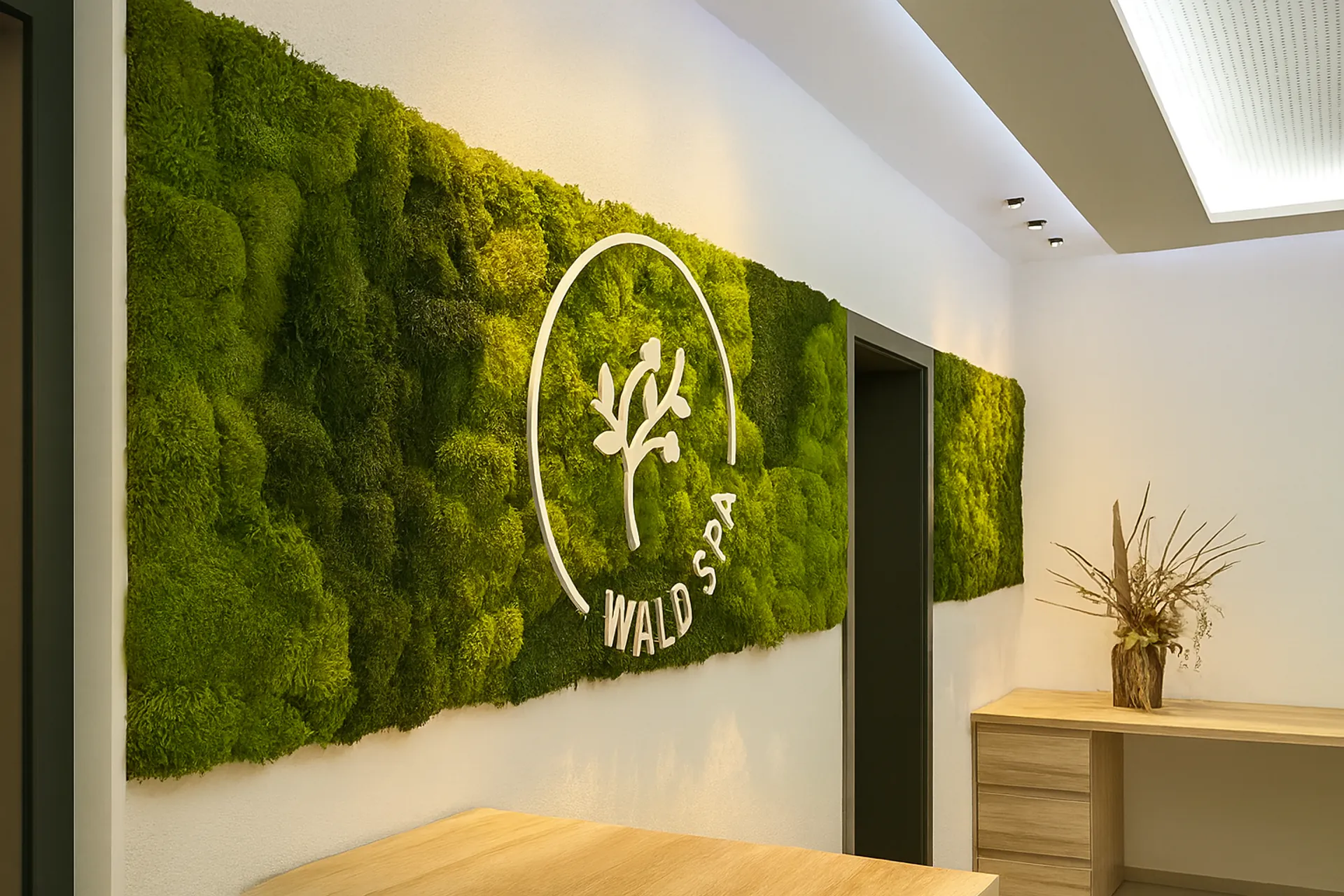Logotipo de Moos: logotipo de la sala de exposición y de la recepción — Logotipo de Moos, de MOOSMOOS
