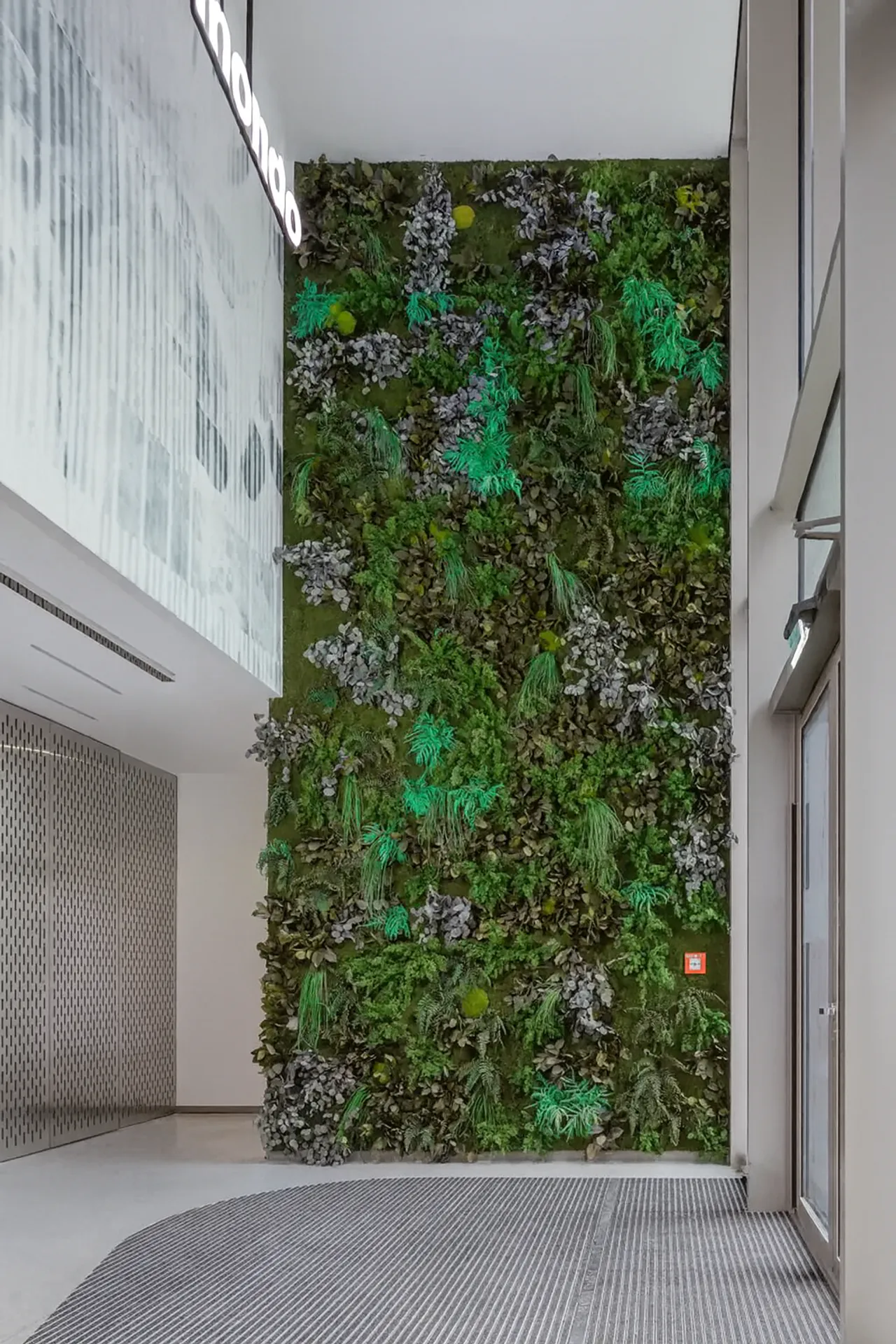 Techo de musgo en la recepción de una oficina moderna — Instalación de vegetación en el techo de MOOSMOOS