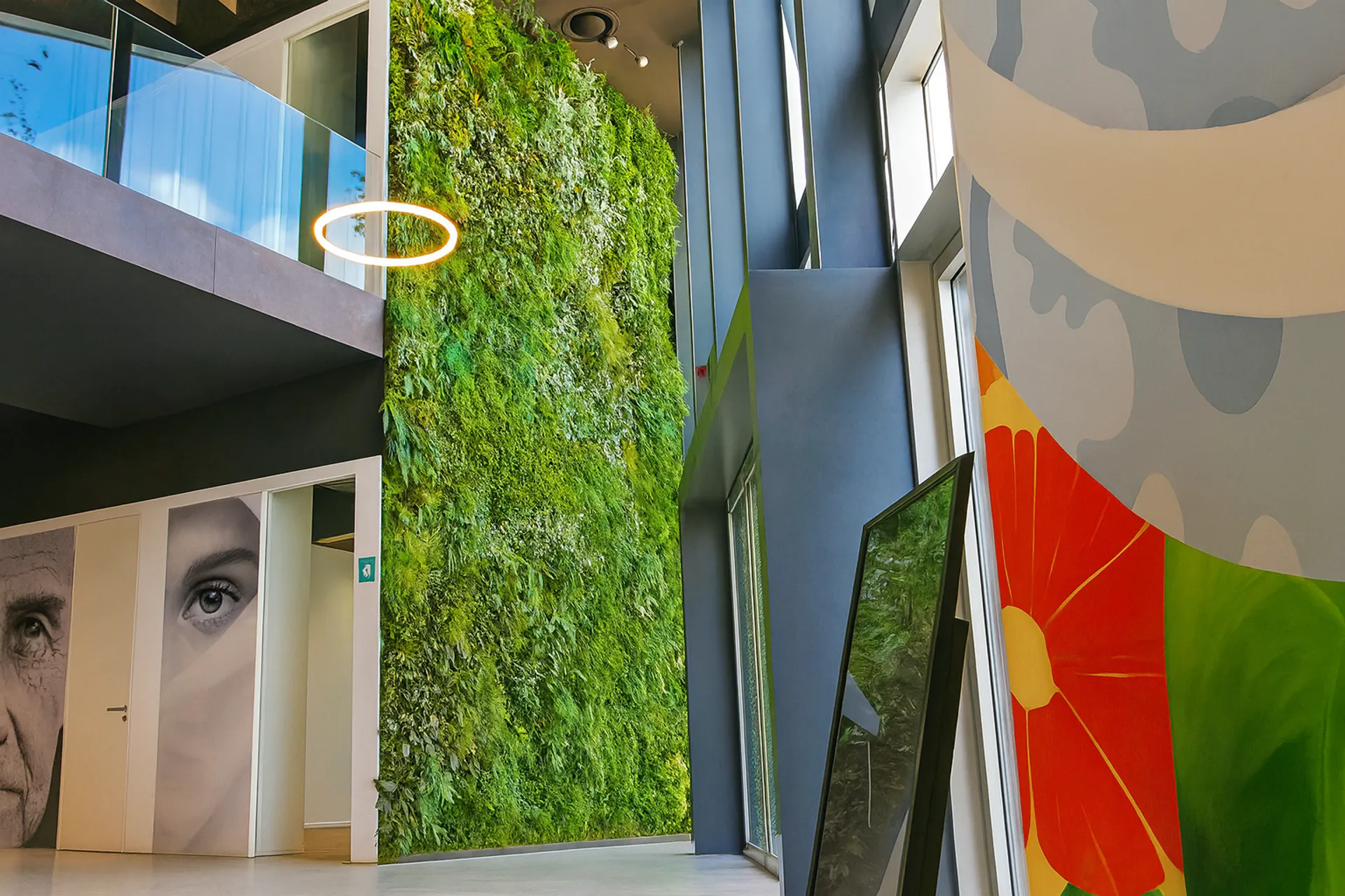 Sala de exposición «Moosdecke»: techos verdes en la arquitectura moderna — Techos verdes de MOOSMOOS