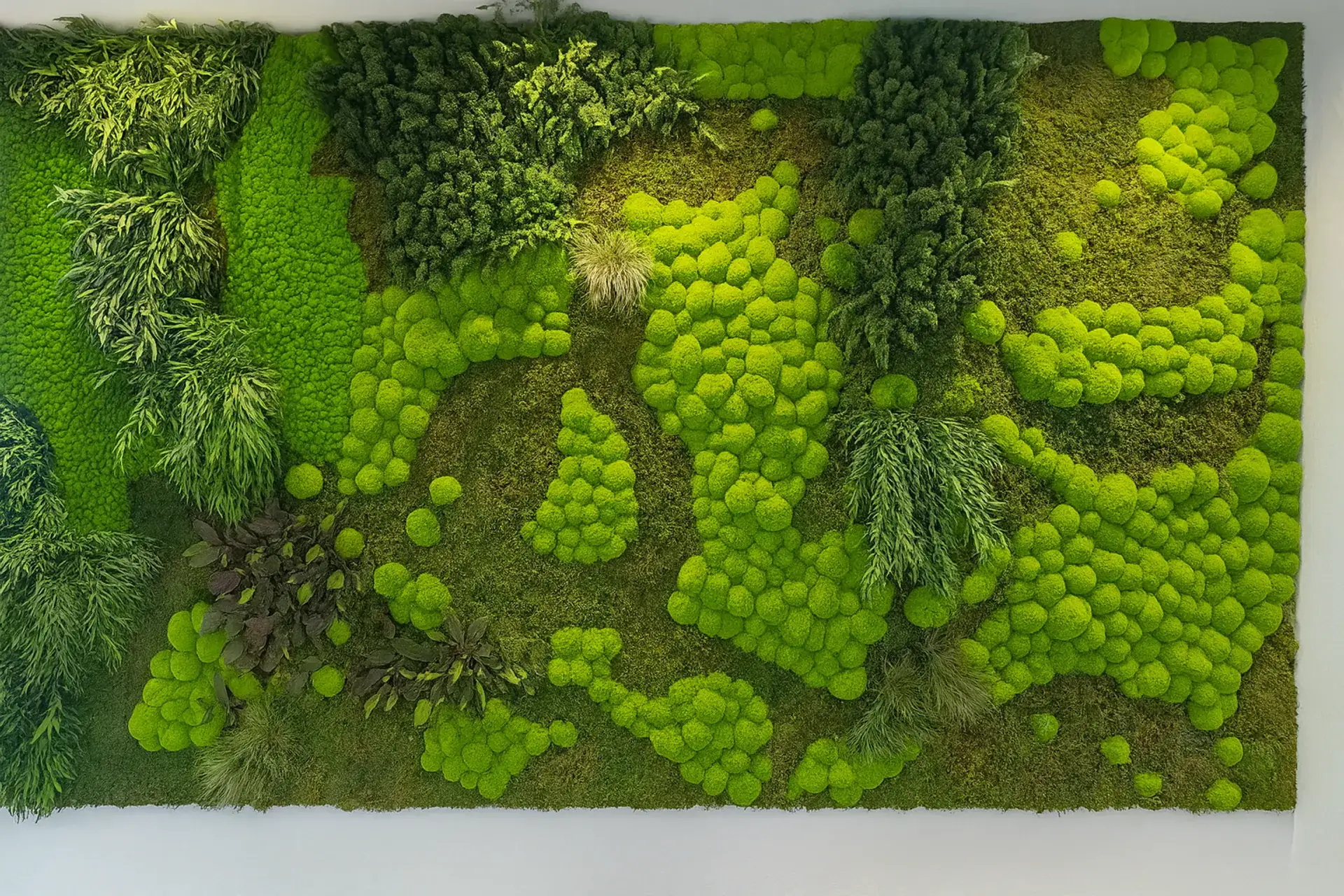 Exposición de paredes de musgo de diseño — Paredes vegetales de MOOSMOOS