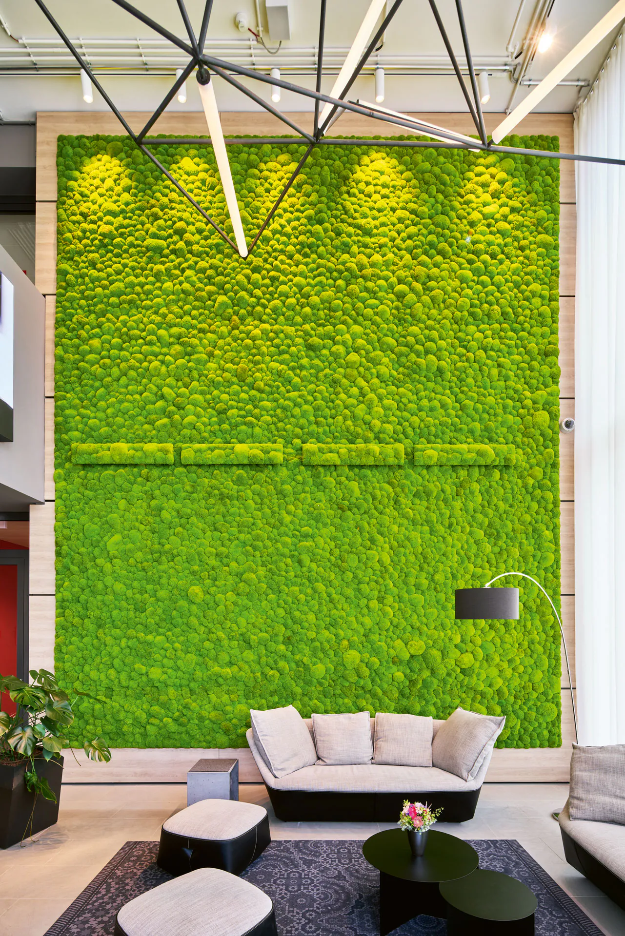 Pared de musgo · Recepción de la oficina