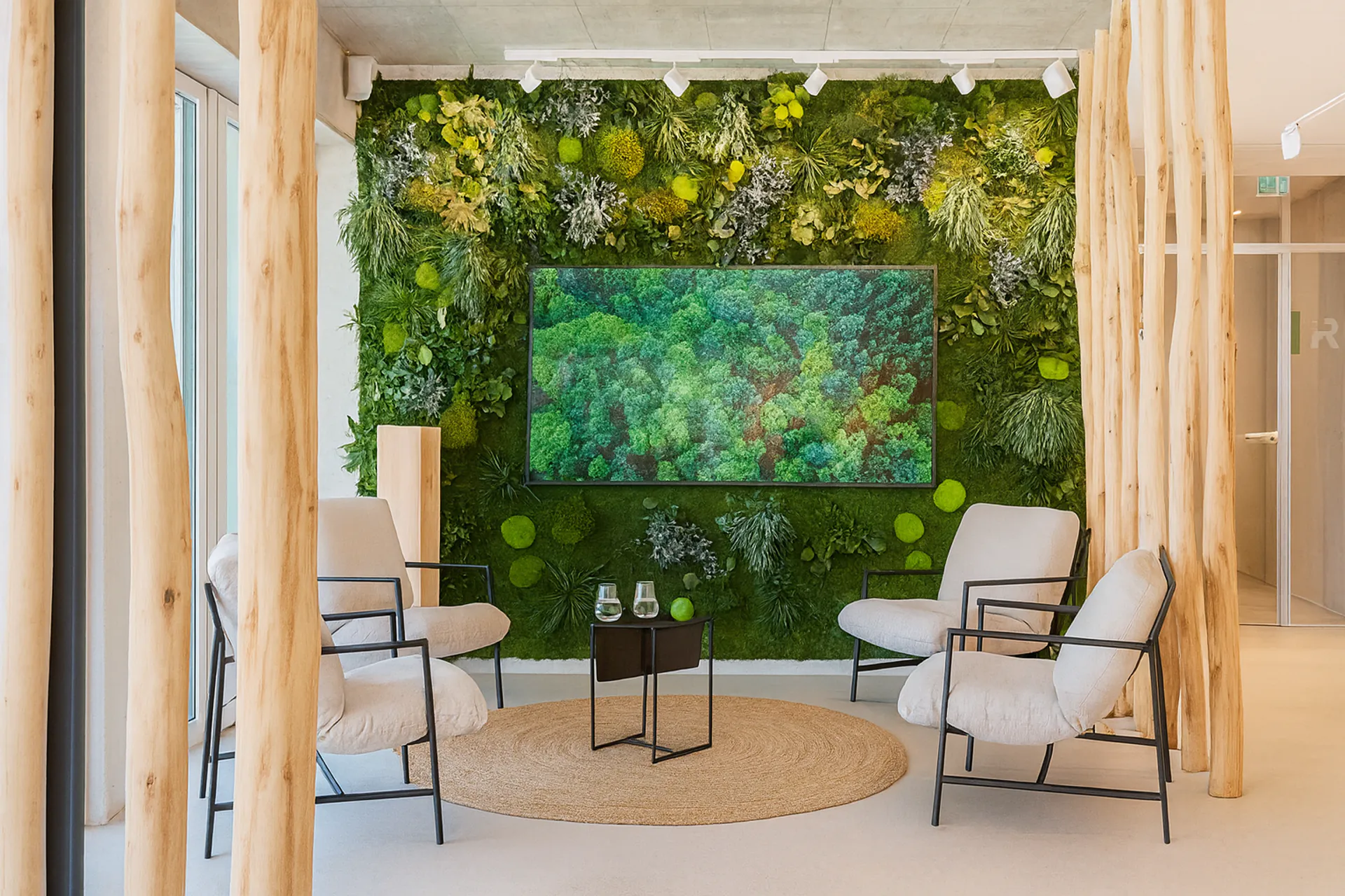 pared de musgo para salón, pared de televisión, recepción — Muro vegetal de MOOSMOOS