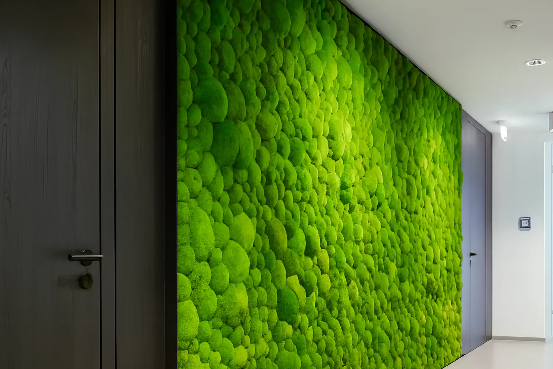 Pared de musgo en la recepción de una oficina moderna — Decoración vegetal para paredes de MOOSMOOS