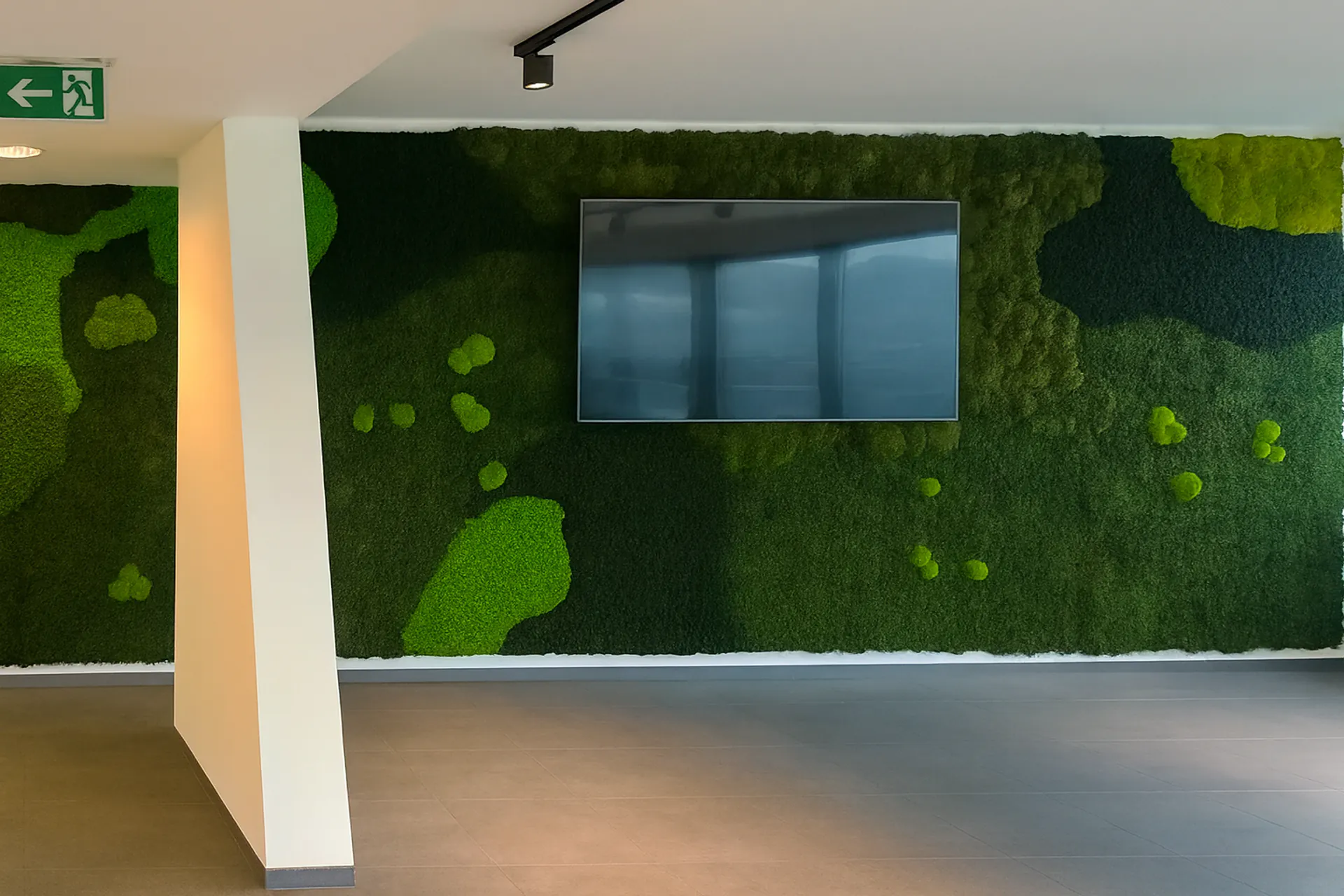 Instalación moderna de musgo en la oficina — Pared vegetal de MOOSMOOS
