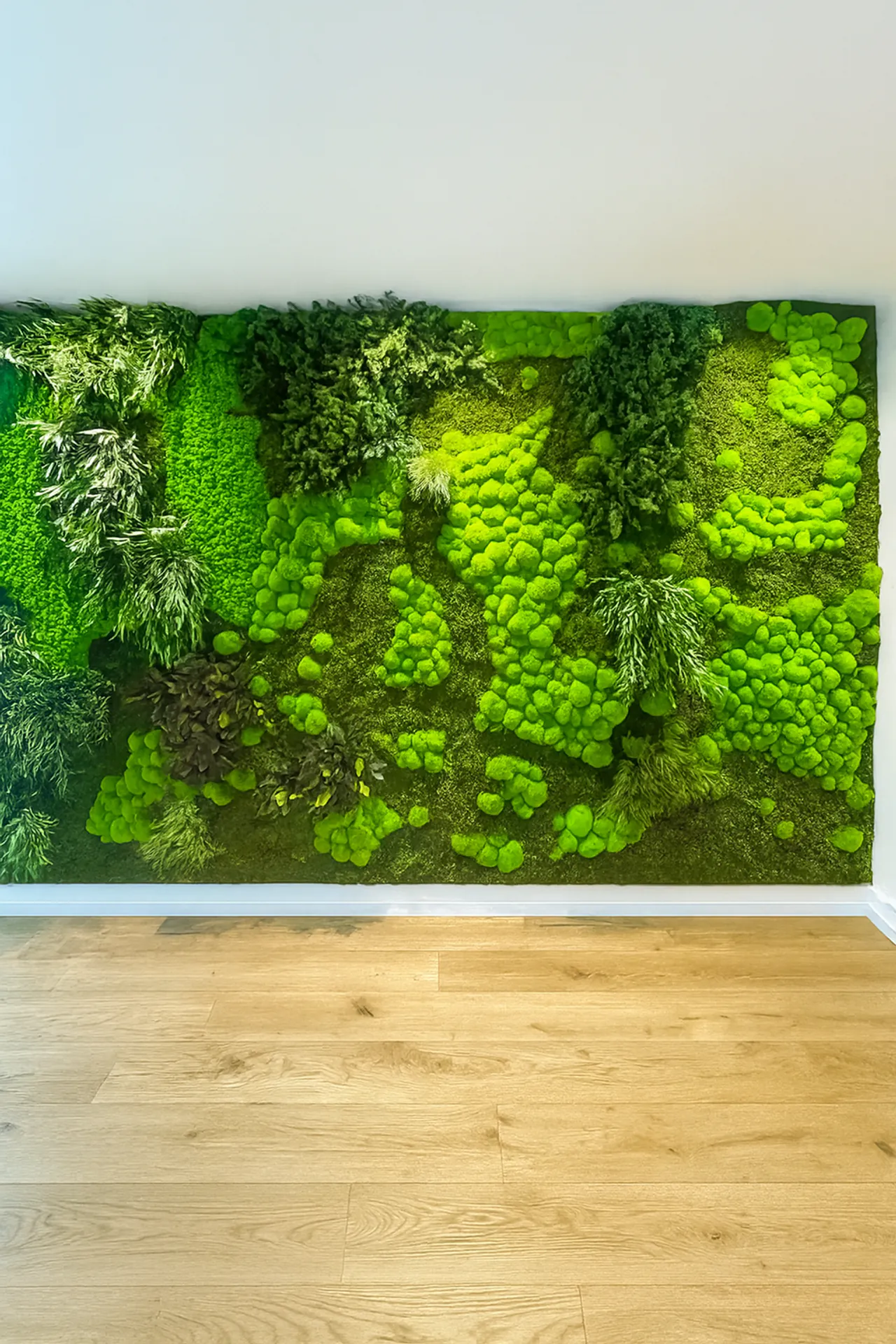 Instalación moderna de un pared de musgo en una sala de exposición — Muro vegetal de MOOSMOOS
