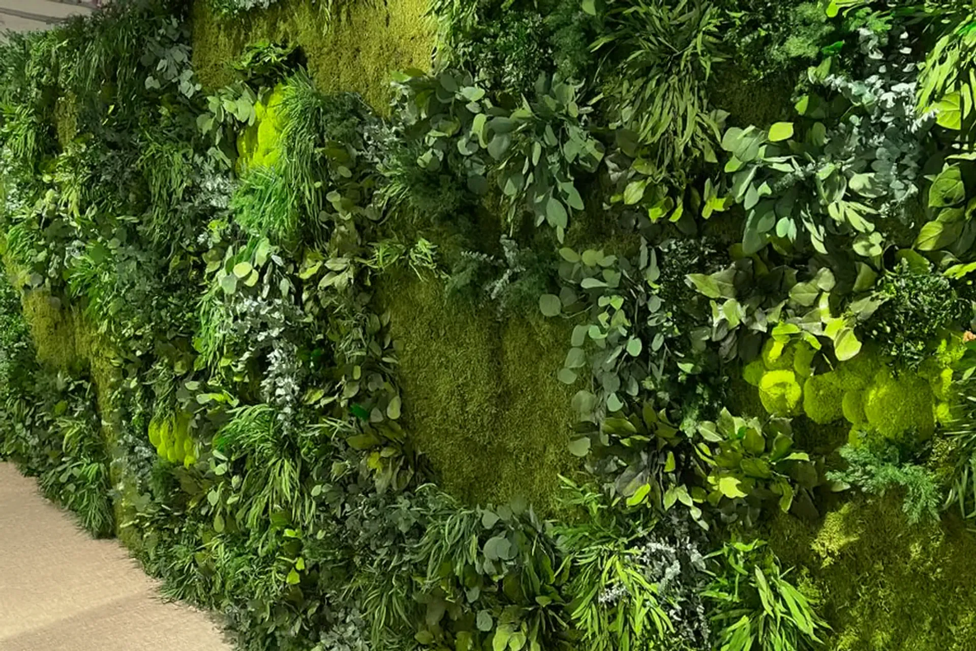 pared de musgo: sala de exposición de vegetación mural moderna — Vegetación mural de MOOSMOOS
