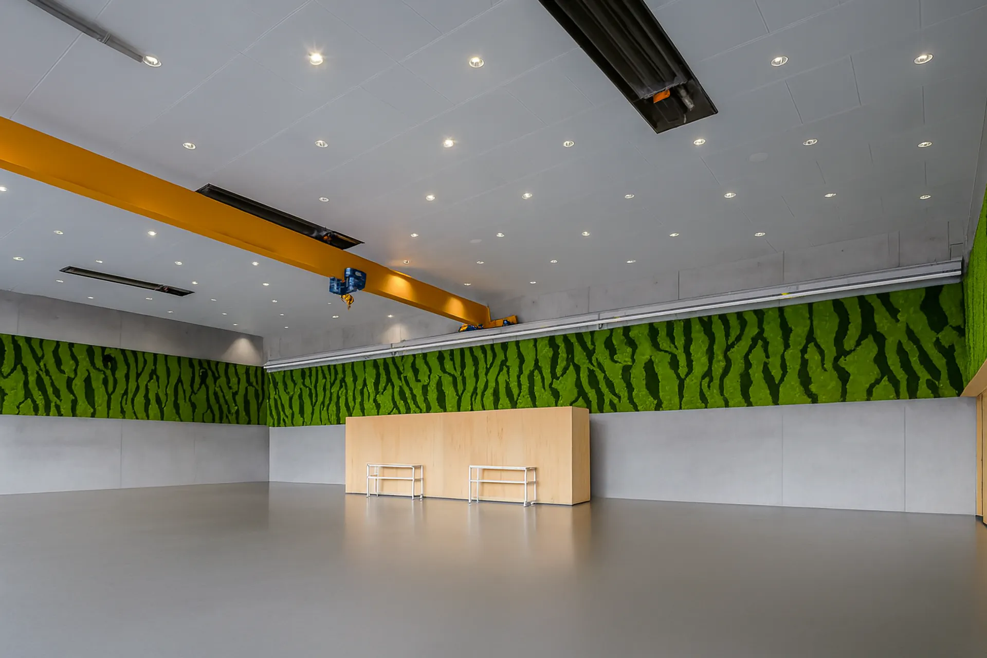 Pared de musgo en una oficina moderna con espacio diáfano — Vegetación mural de MOOSMOOS