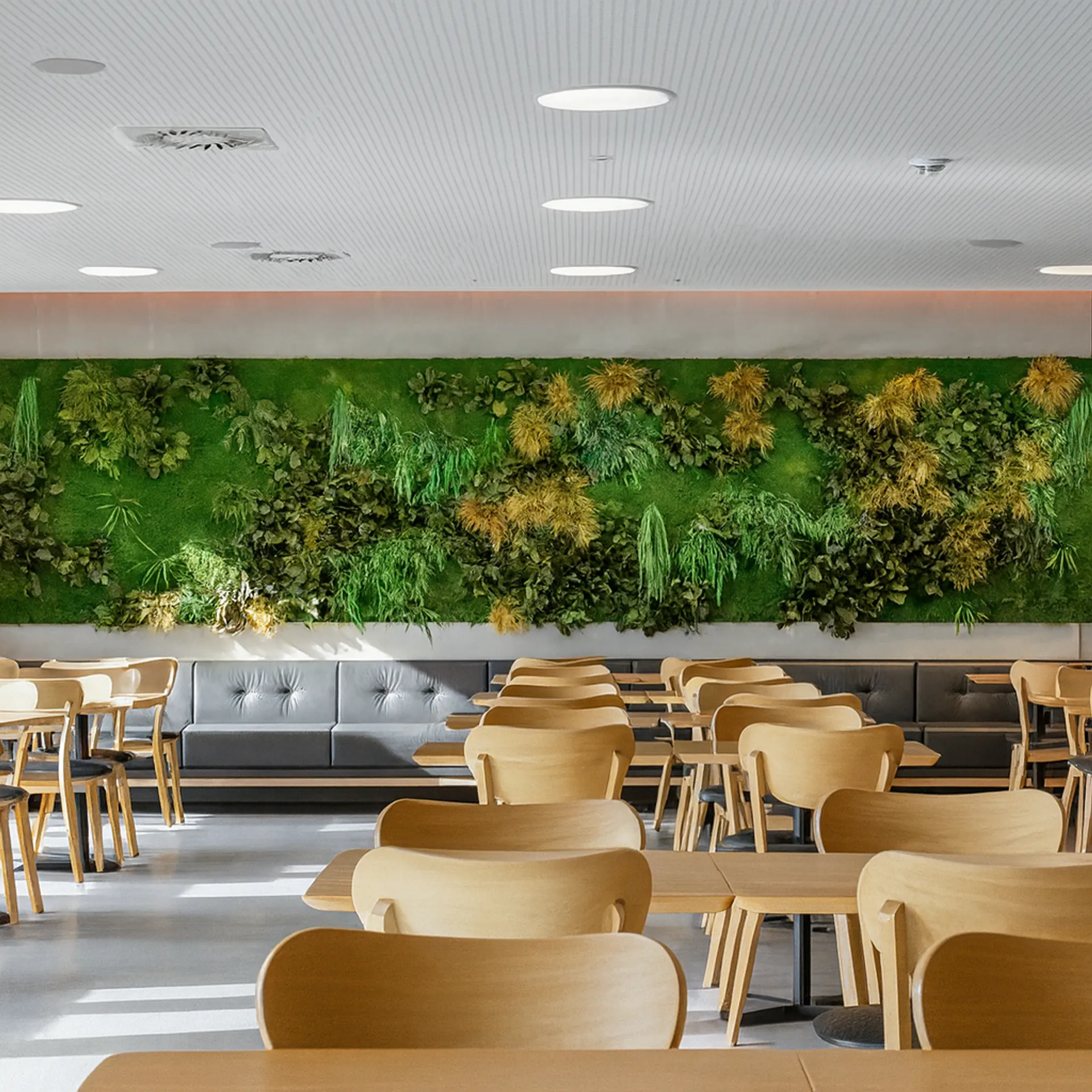 Pared de musgo en la zona de oficinas y comedores modernos — Vegetación mural de MOOSMOOS