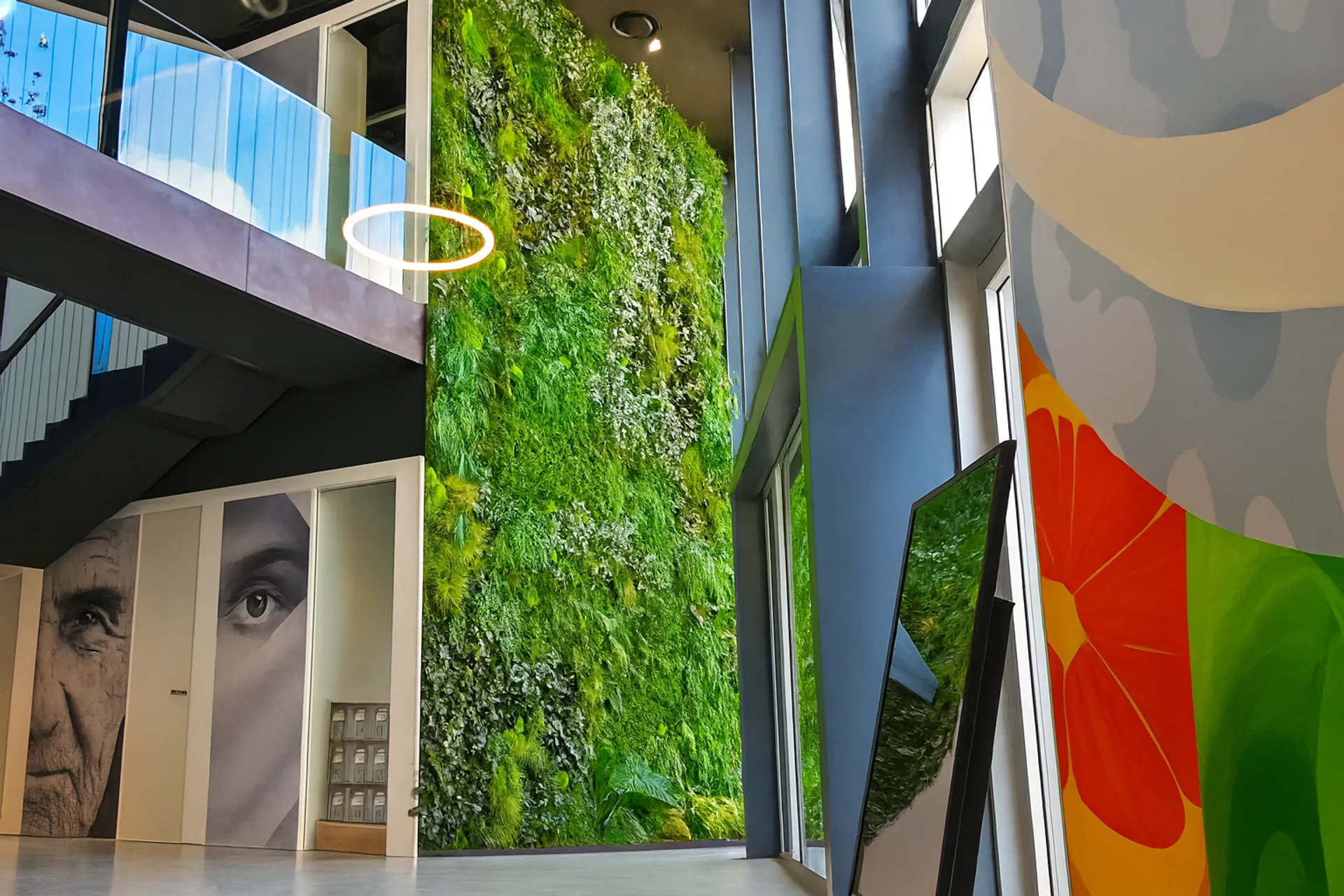 Sala de exposición «Mooswand»: instalación artística de varias plantas — Vegetalización de paredes de MOOSMOOS