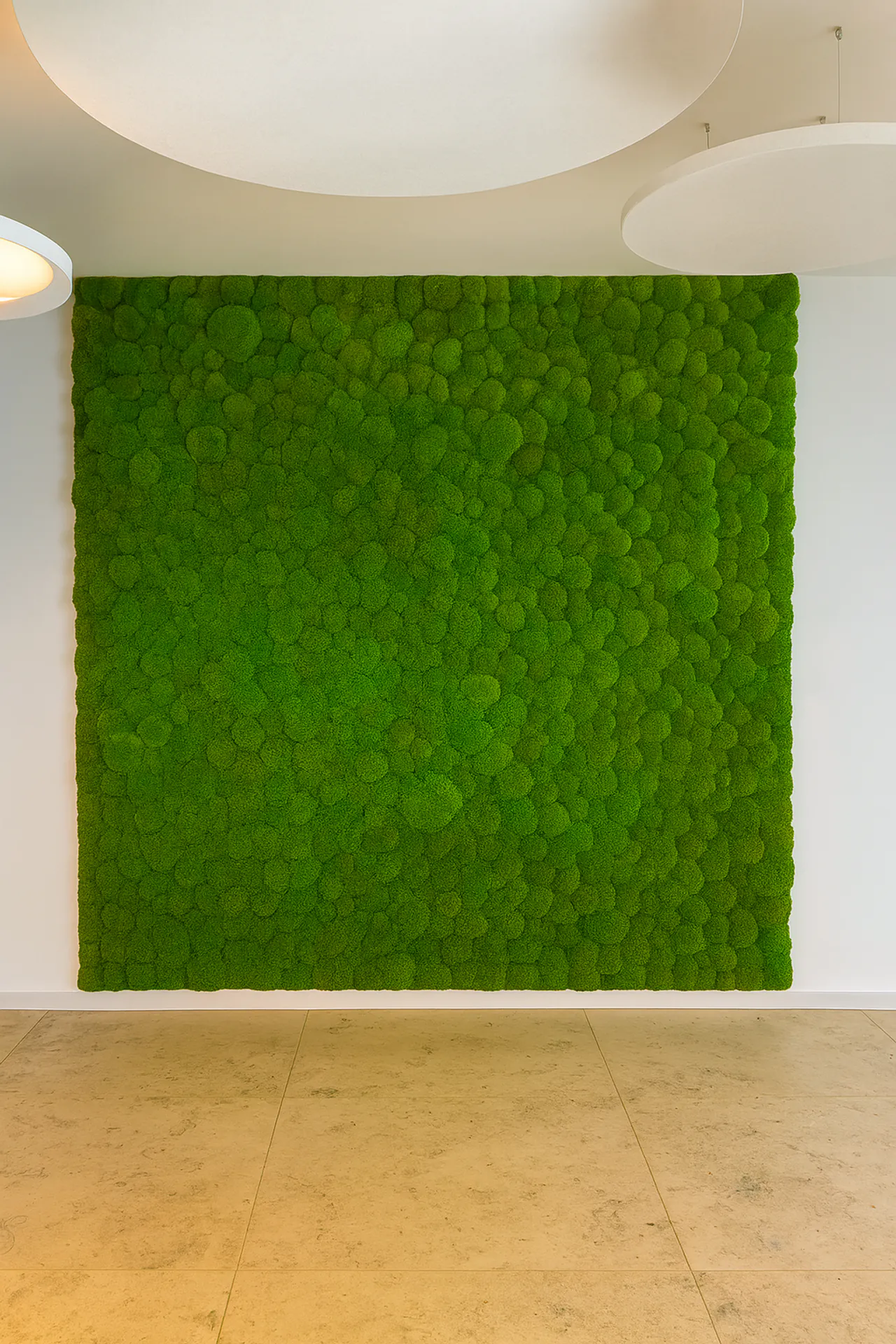 Sala de exposición de paredes de musgo: instalación mural moderna — Paredes verdes de MOOSMOOS