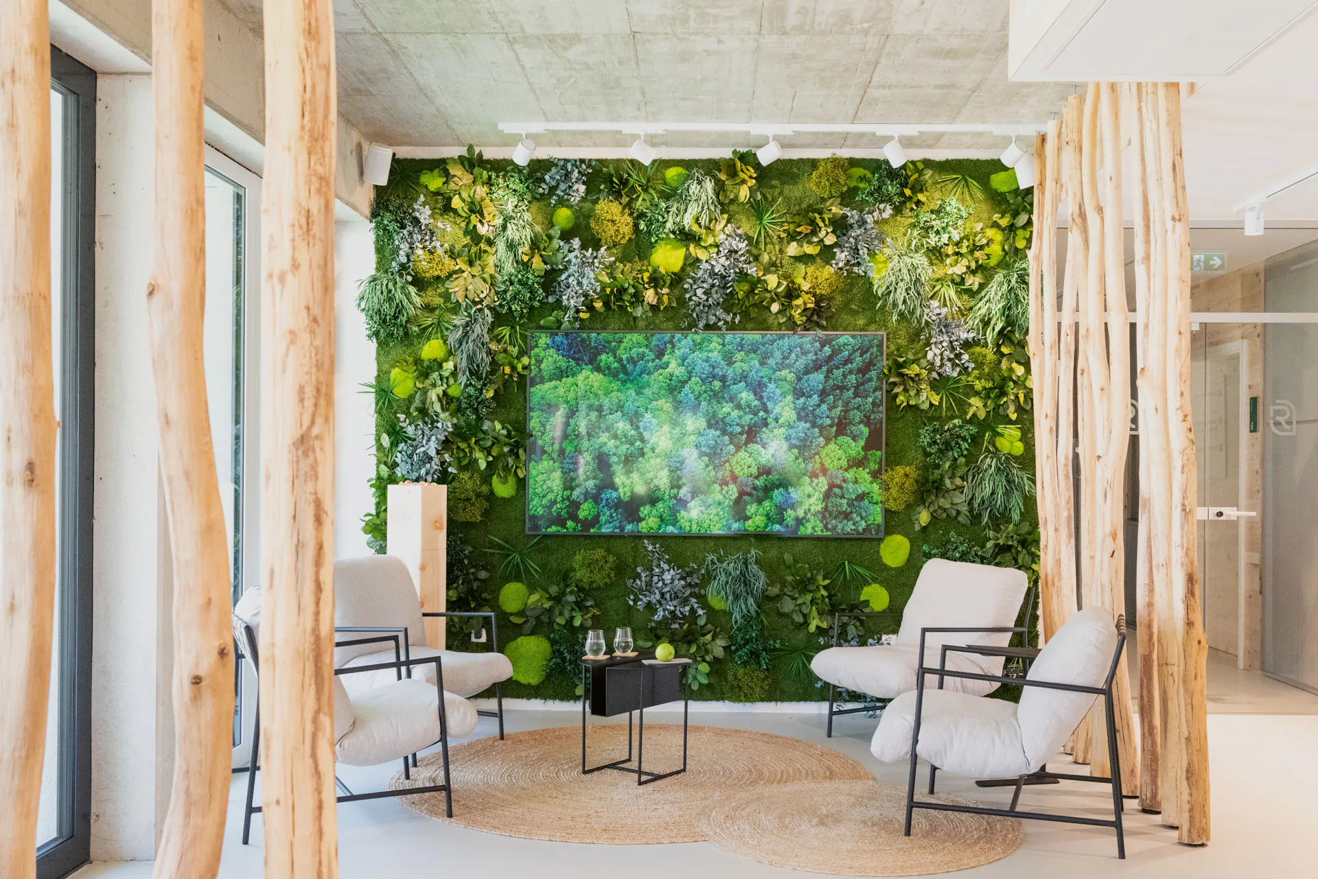 Muro vegetal de MOOSMOOS: muro de plantas compuesto por musgo natural y plantas preservadas