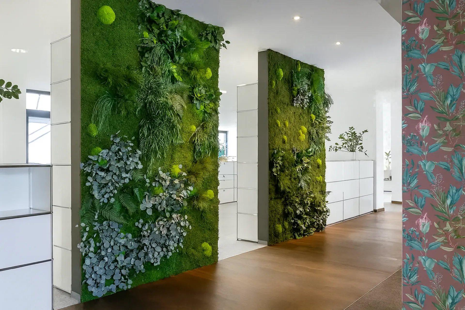 Separadores de espacios con paredes de musgo para oficinas y recepciones — Separadores de espacios y soluciones acústicas de MOOSMOOS