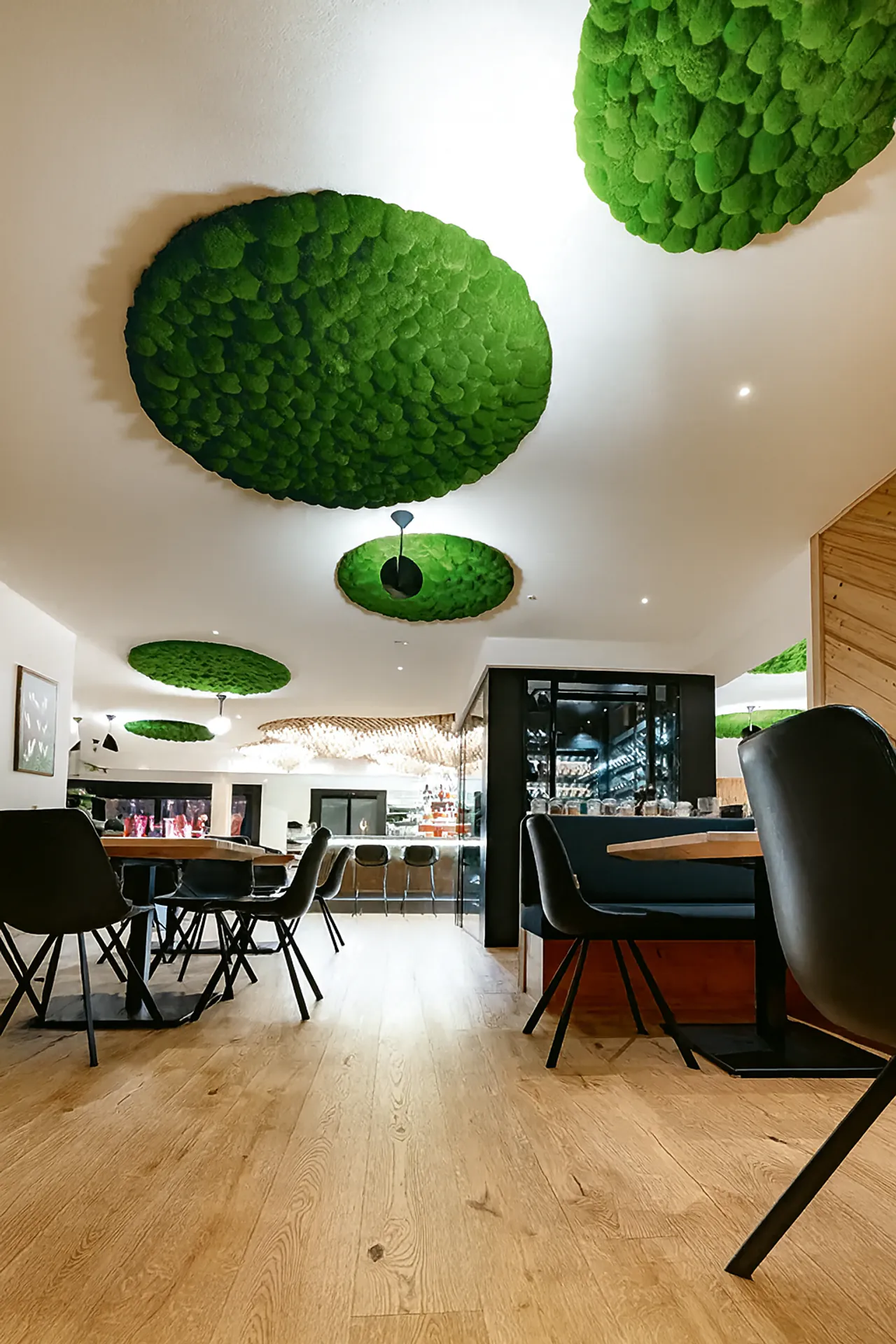 Musgo auténtico conservado — «Hanging Garden» de MOOSMOOS