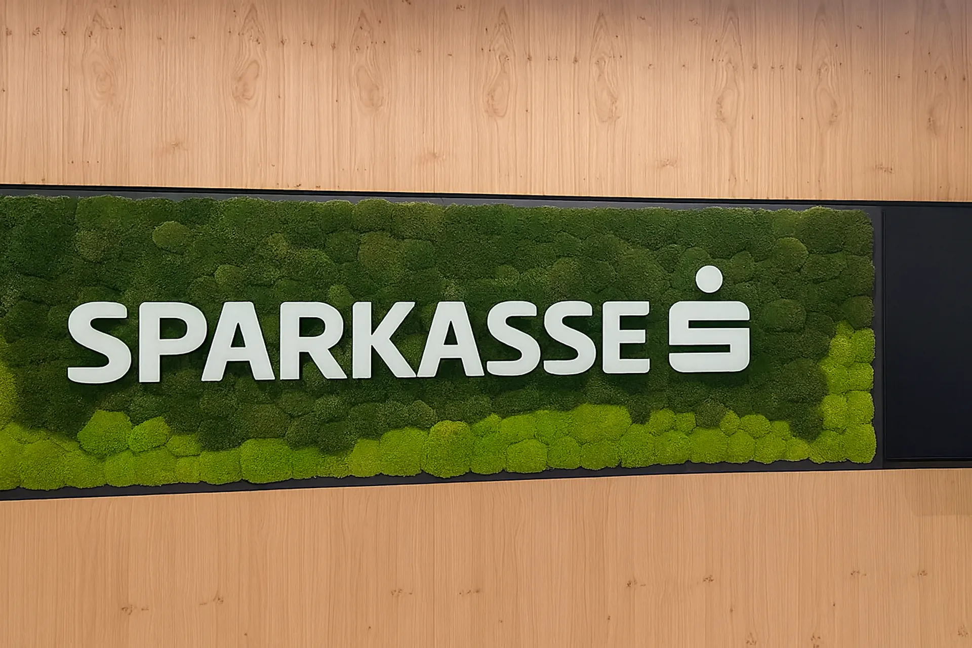 Logotipo de Moos. Logotipo de Sparkasse Moos — Logotipo de Moos, creado por MOOSMOOS
