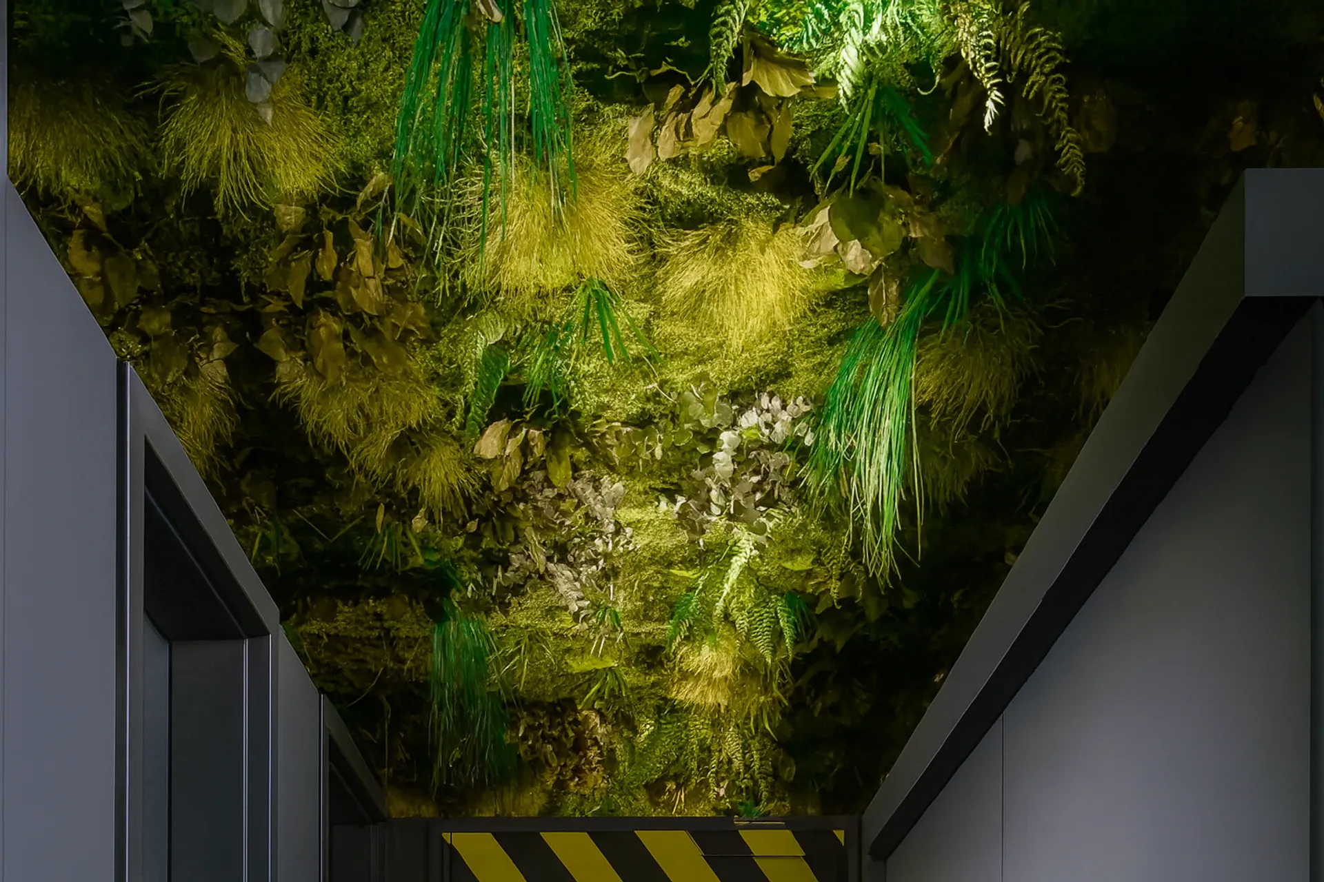 Instalación en el techo de la oficina «Hanging Garden»: vegetación en el techo de MOOSMOOS