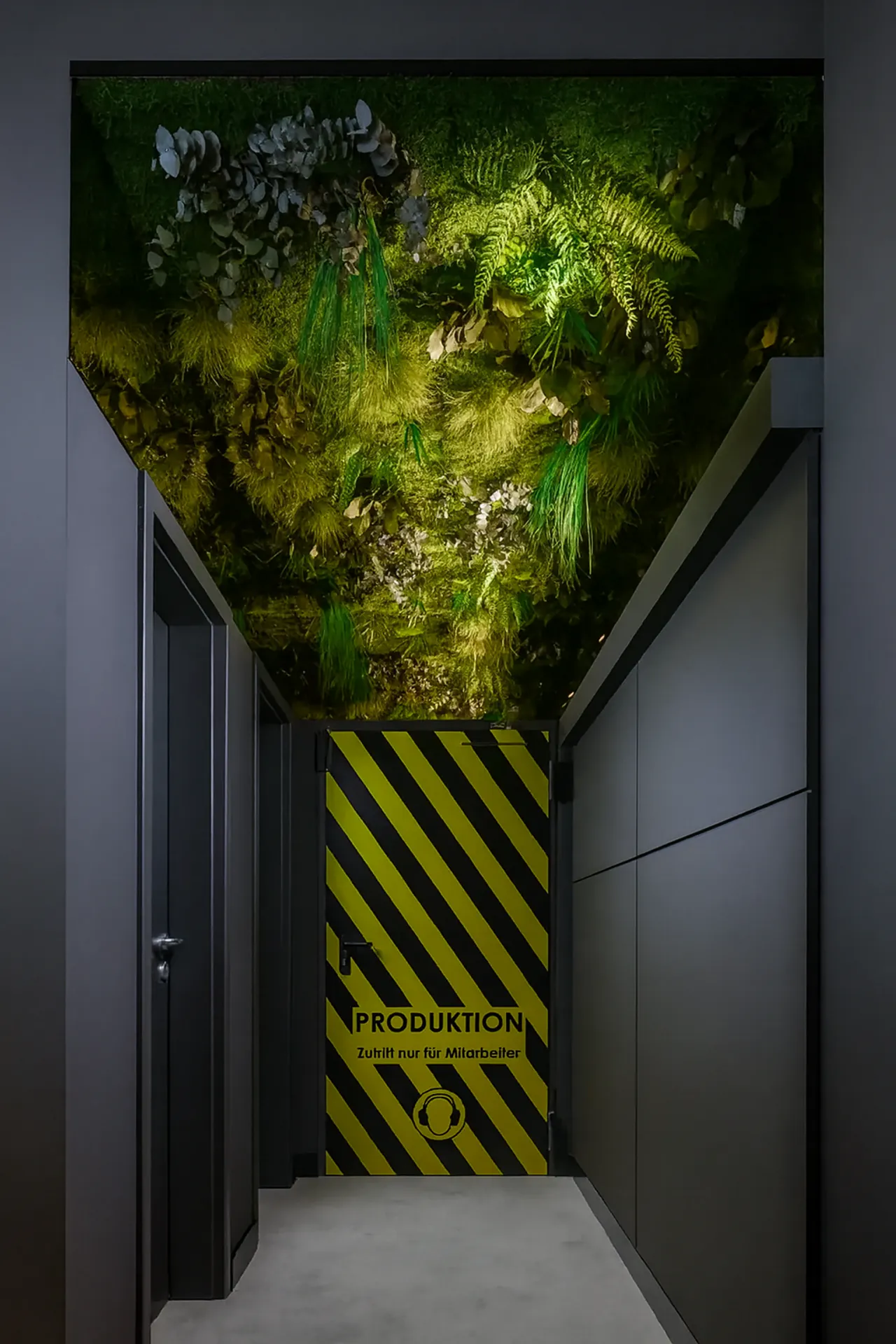 Instalación en la sala de exposición de Moosdecke — Techo vegetal de MOOSMOOS