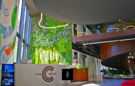 pared de musgo tipo jungla Recepcion The Circle Mallorca