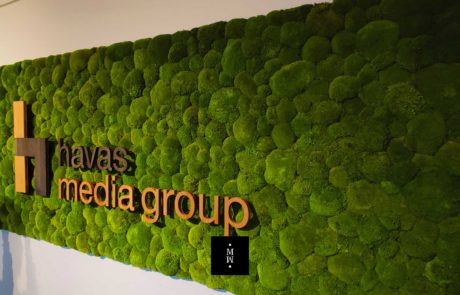 cuadro de musgo de bala con Logo Havas Media Group