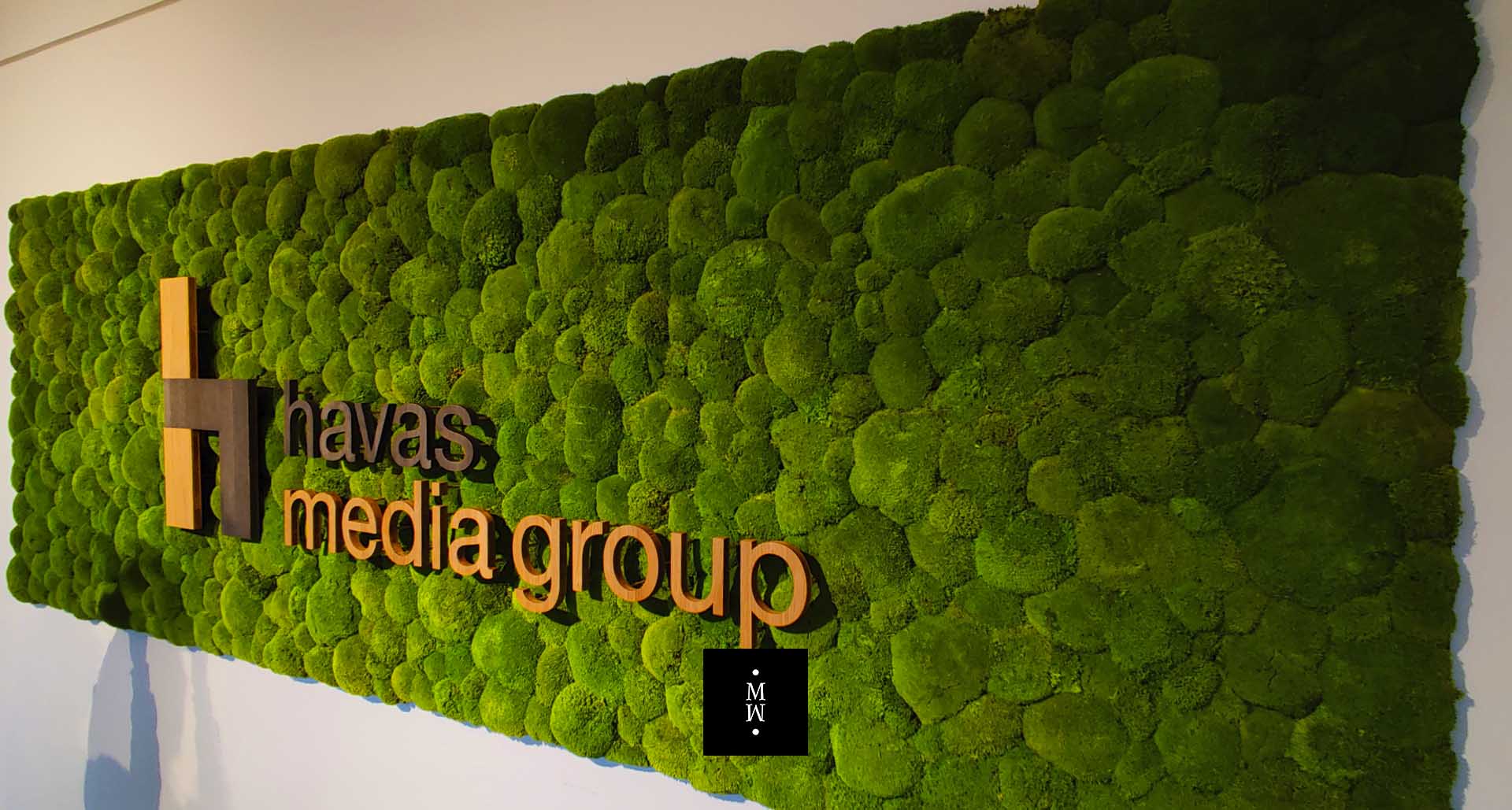 cuadro de musgo de bala con Logo Havas Media Group