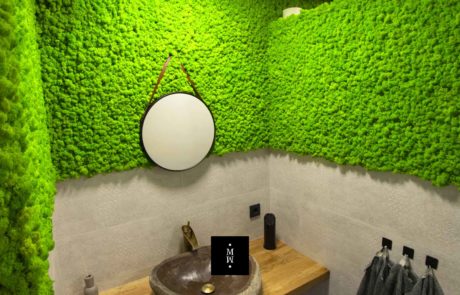 pared de musgo islandés baño
