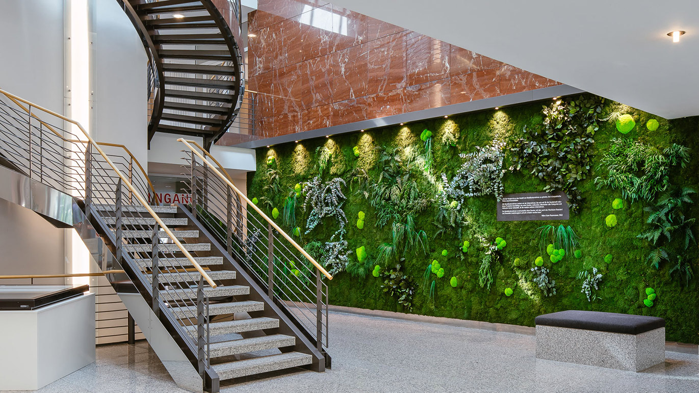  große MoosMoos Wandbegrünung aus Pflanzen Moos in einem Treppenaufgang 