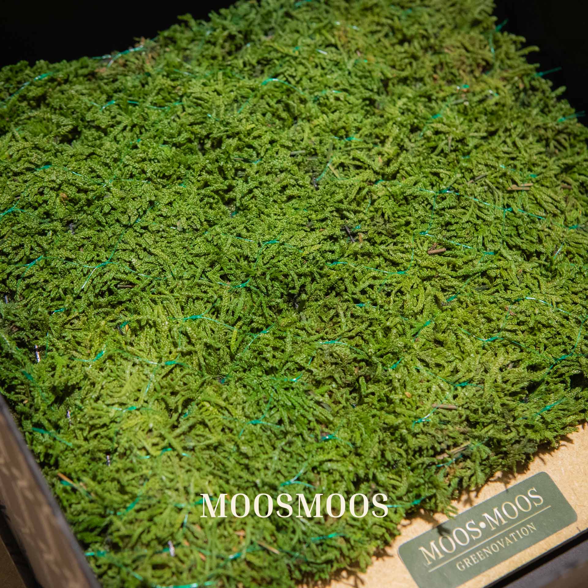 La caja de muestras Greenovation para la vegetación en fachadas