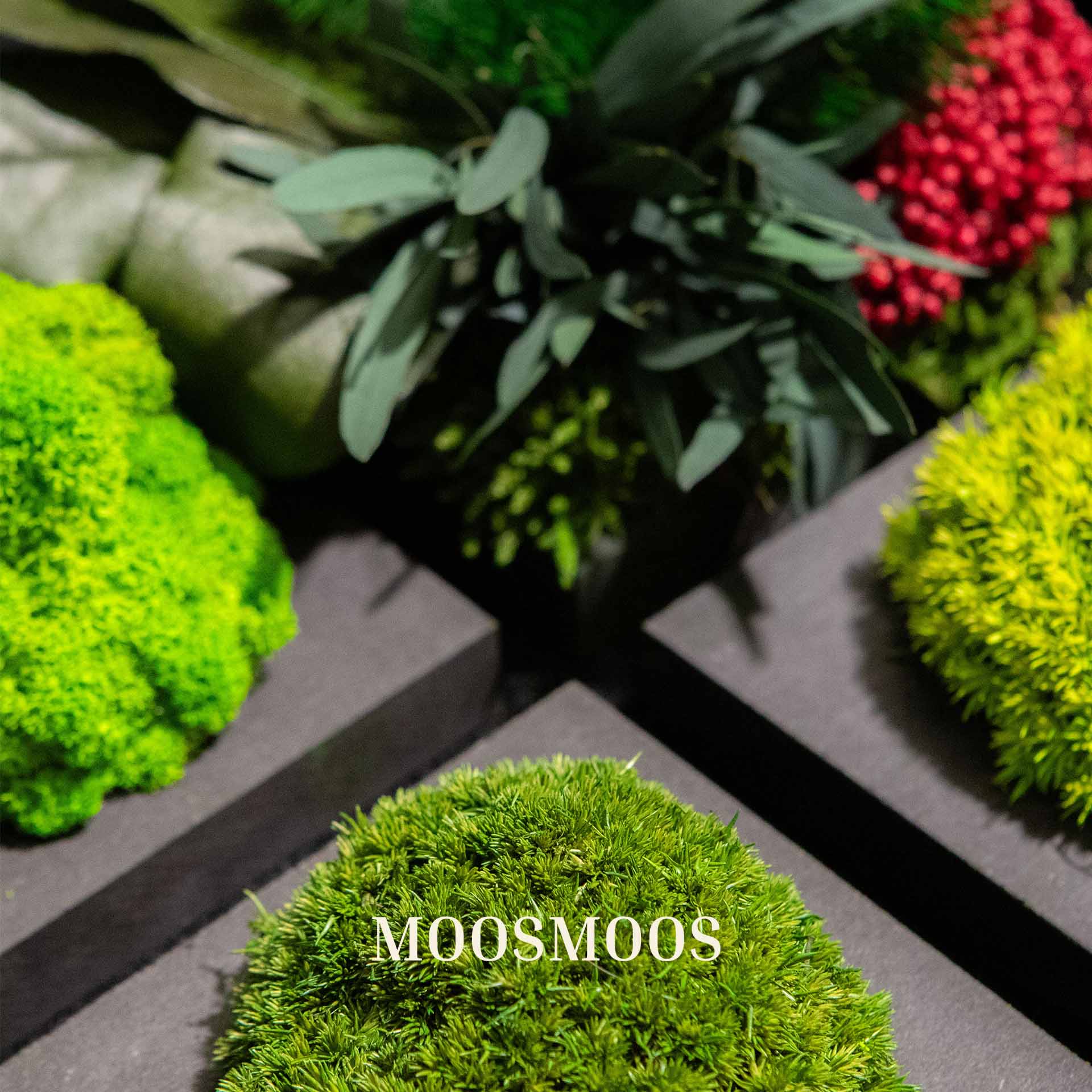 El contenido completo de la caja de muestras de MOOSMOOS, con muestras de Moos y el catálogo
